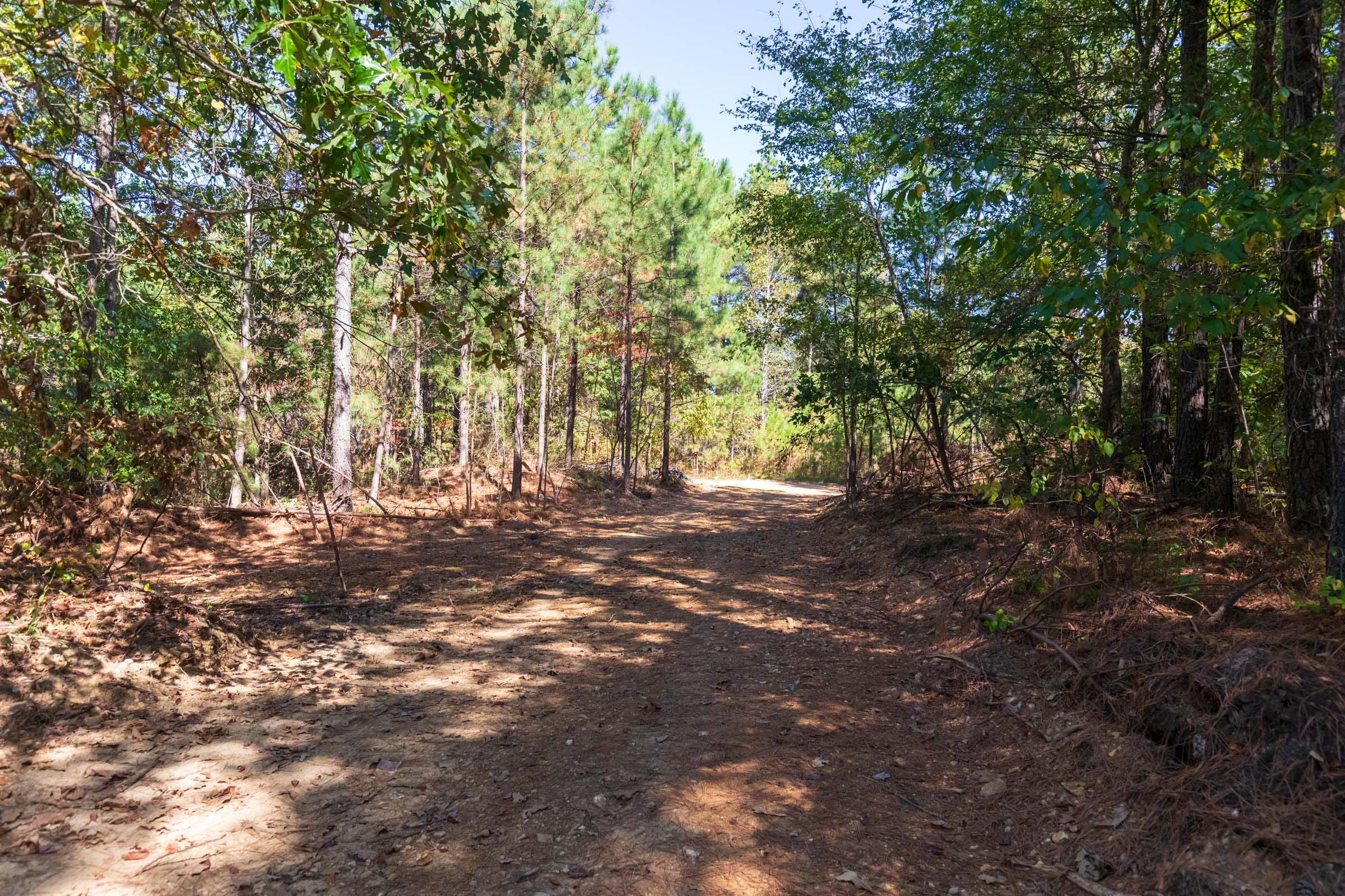 Bear Brook Tract 3 photo 5