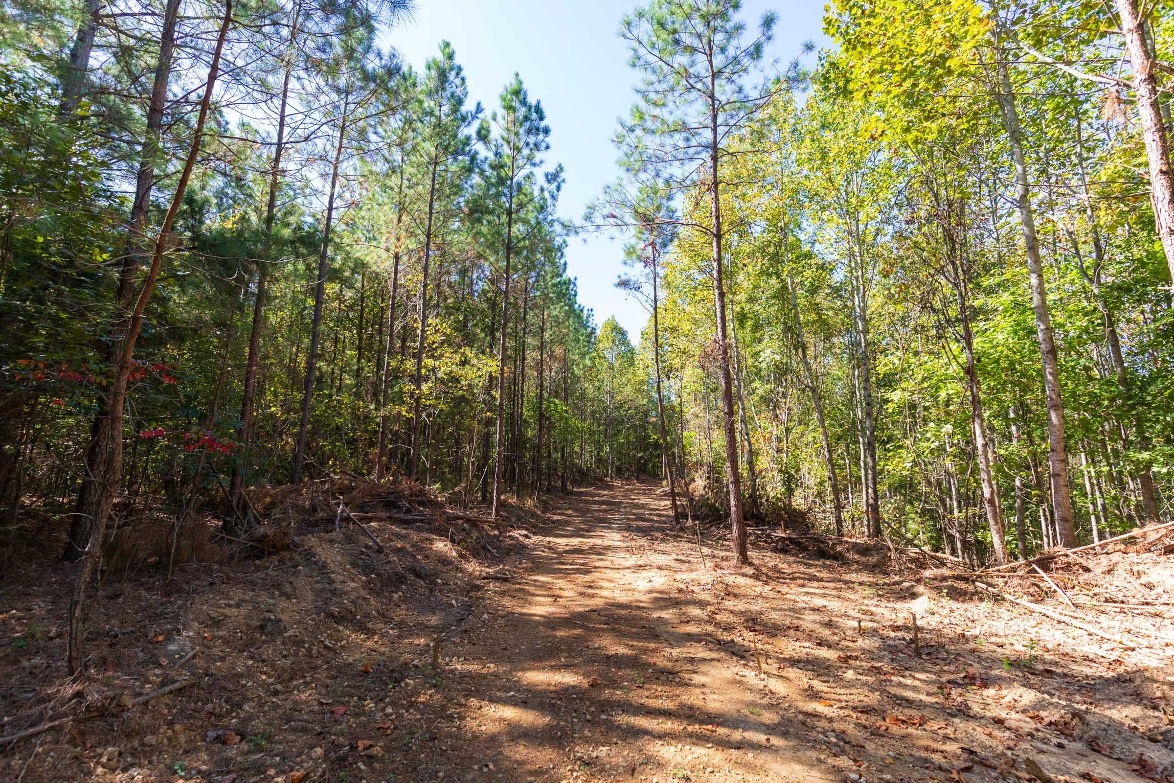 Bear Brook Tract 3 photo 7