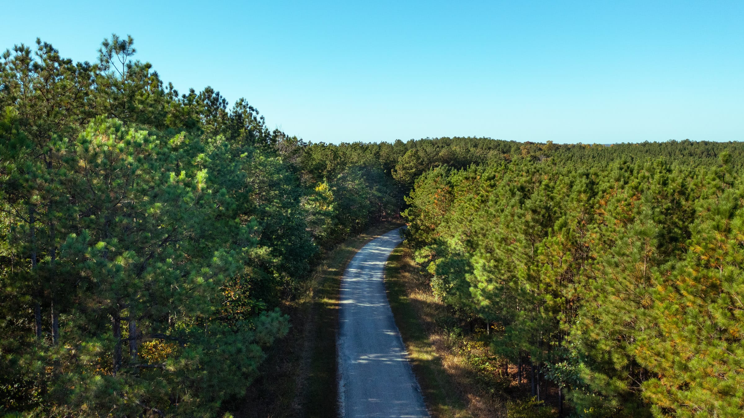 Bear Brook Tract 3 photo 6