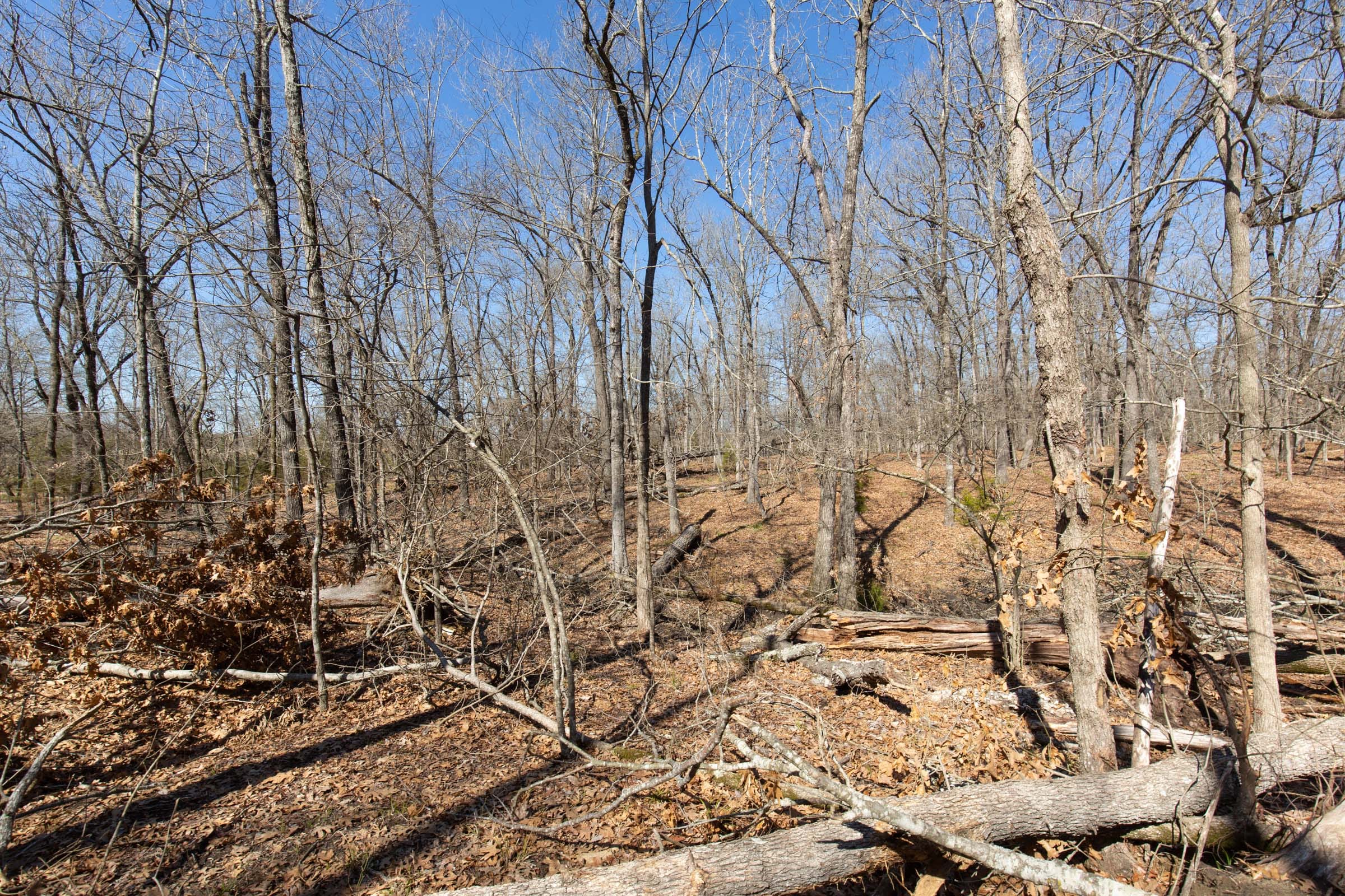 Wishing Star Ranch Tract 31 photo 2