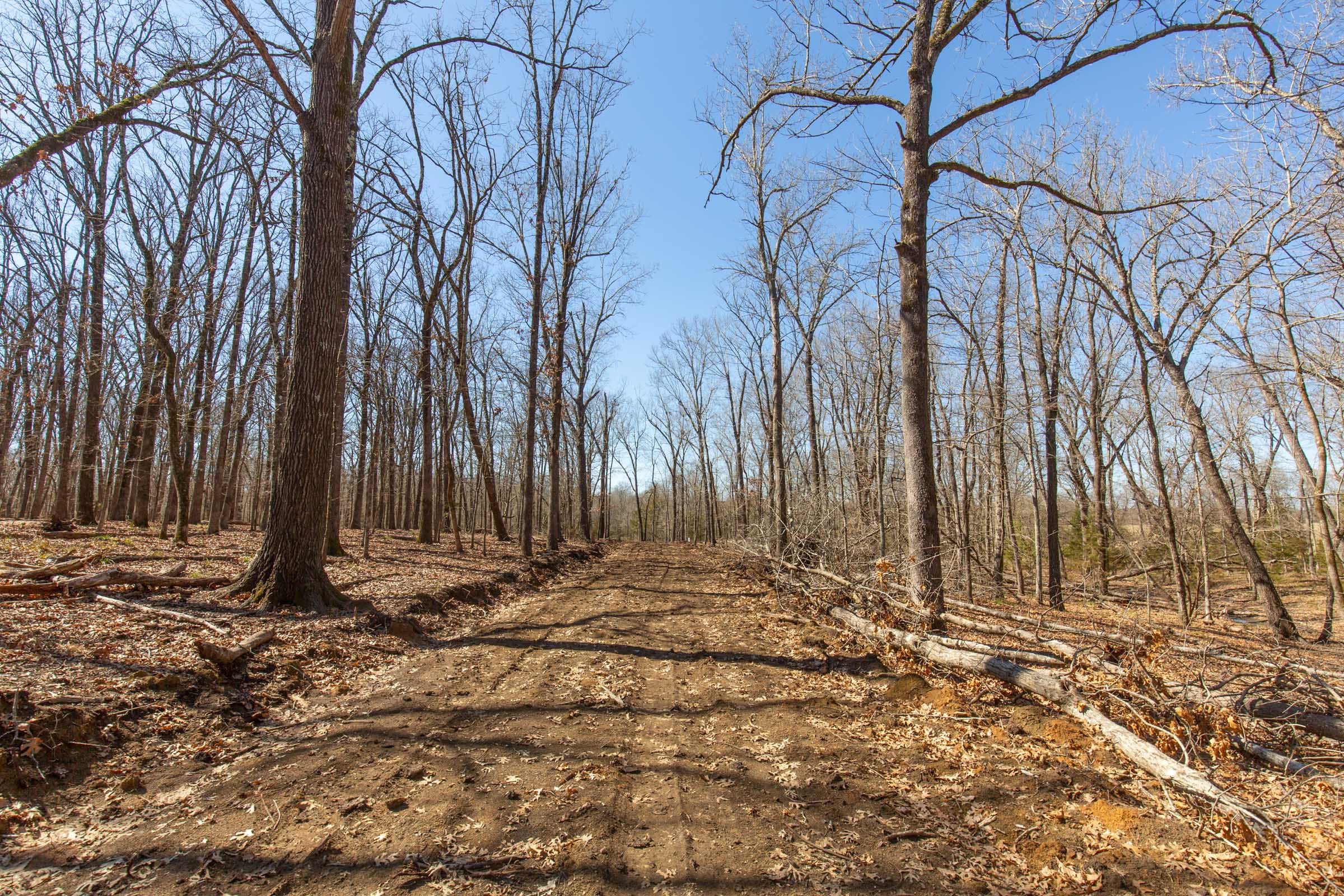 Wishing Star Ranch Tract 31 photo 3