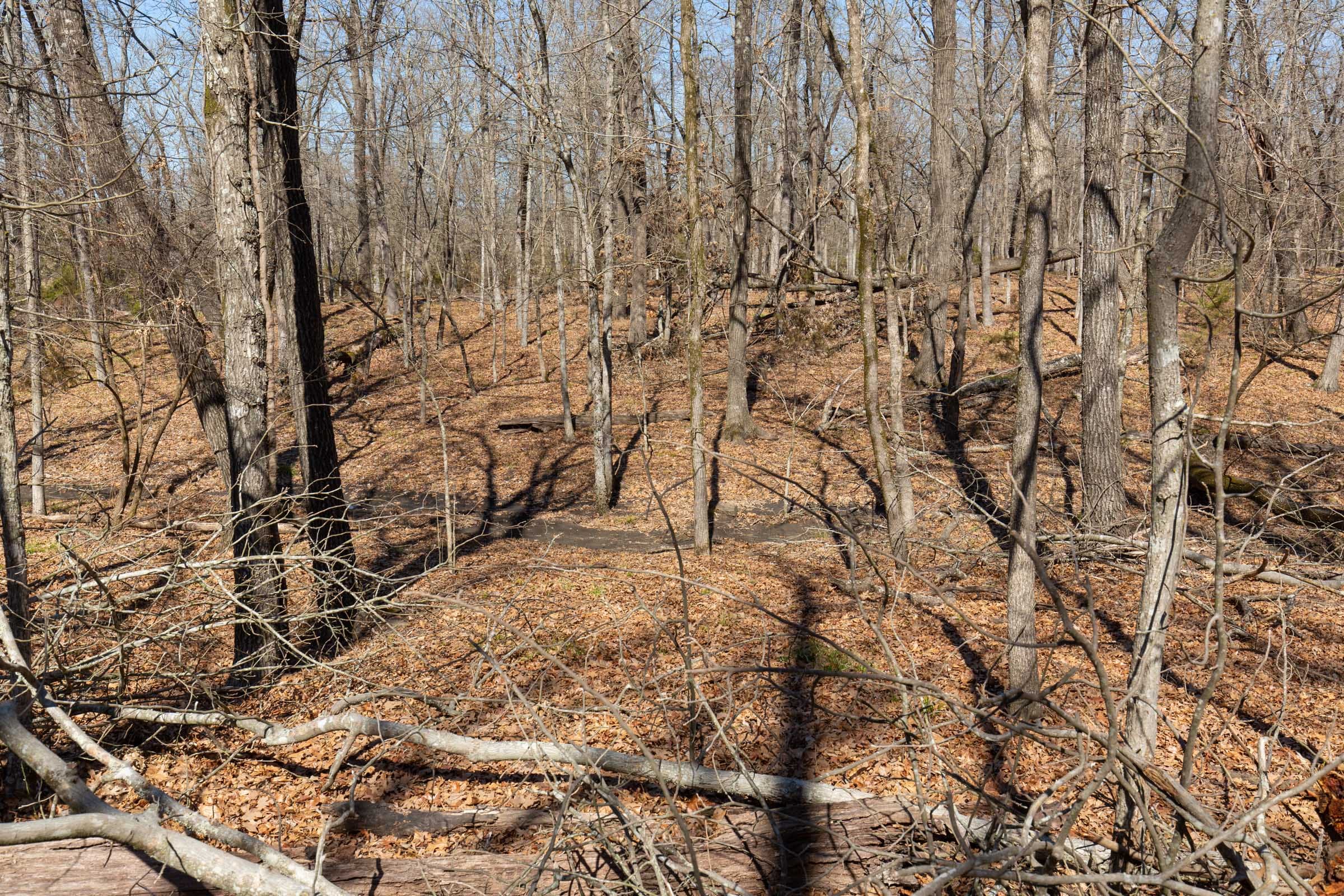 Wishing Star Ranch Tract 31 photo 5