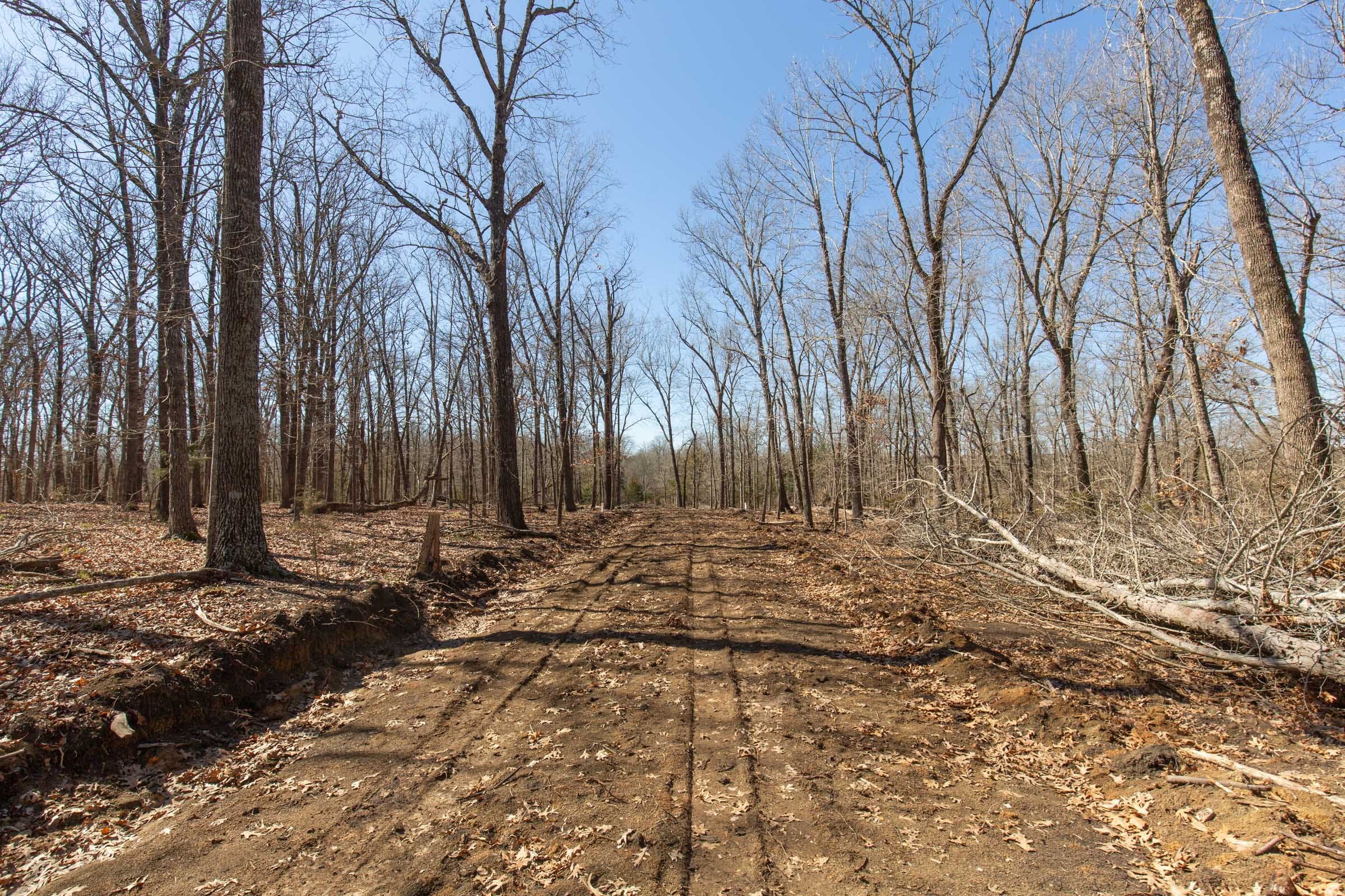 Wishing Star Ranch Tract 31 photo 4