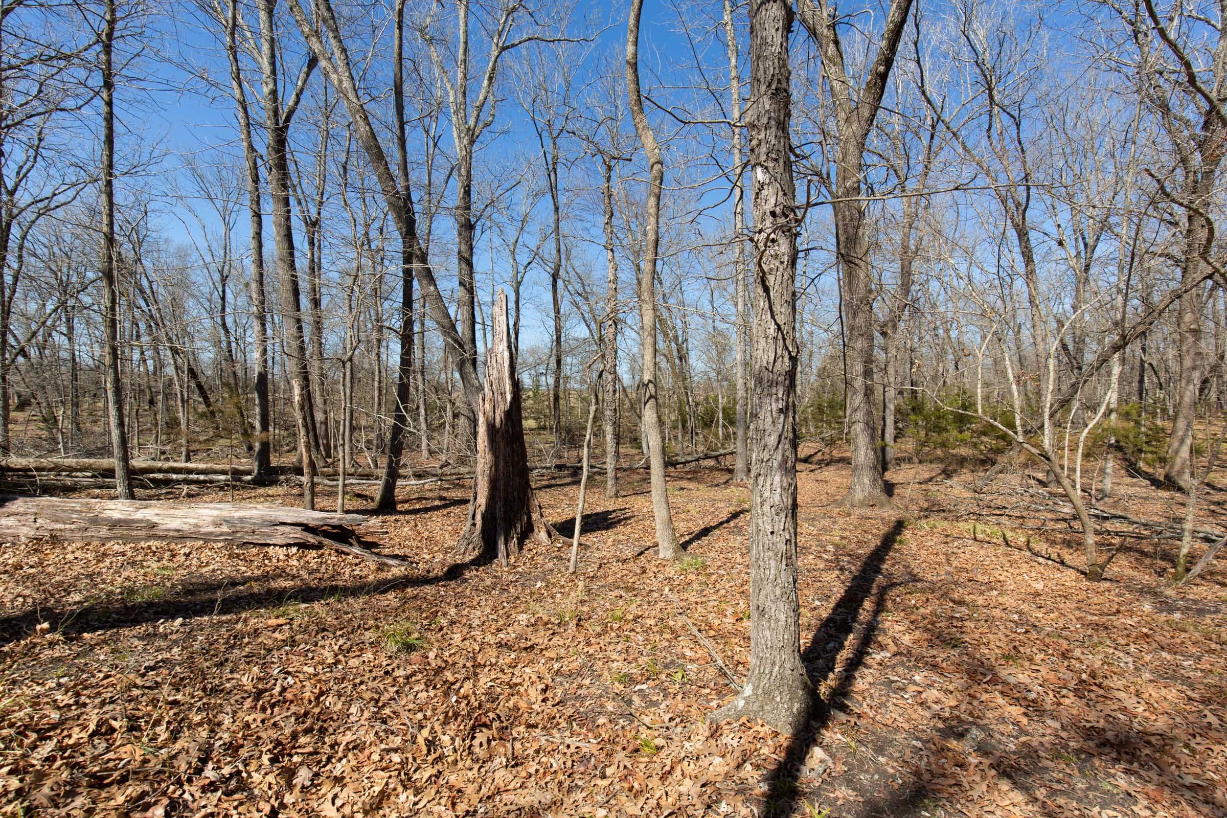 Wishing Star Ranch Tract 31 photo 6