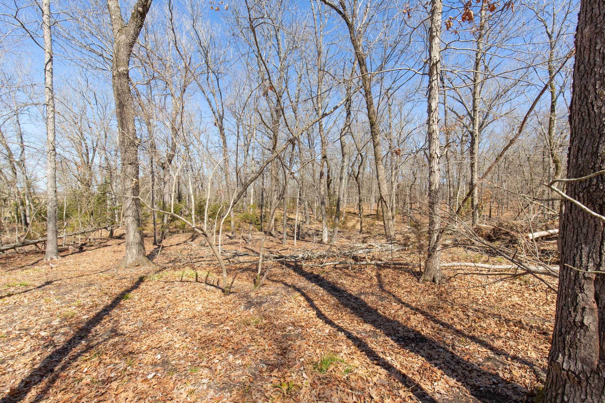 Wishing Star Ranch Tract 31 photo 7
