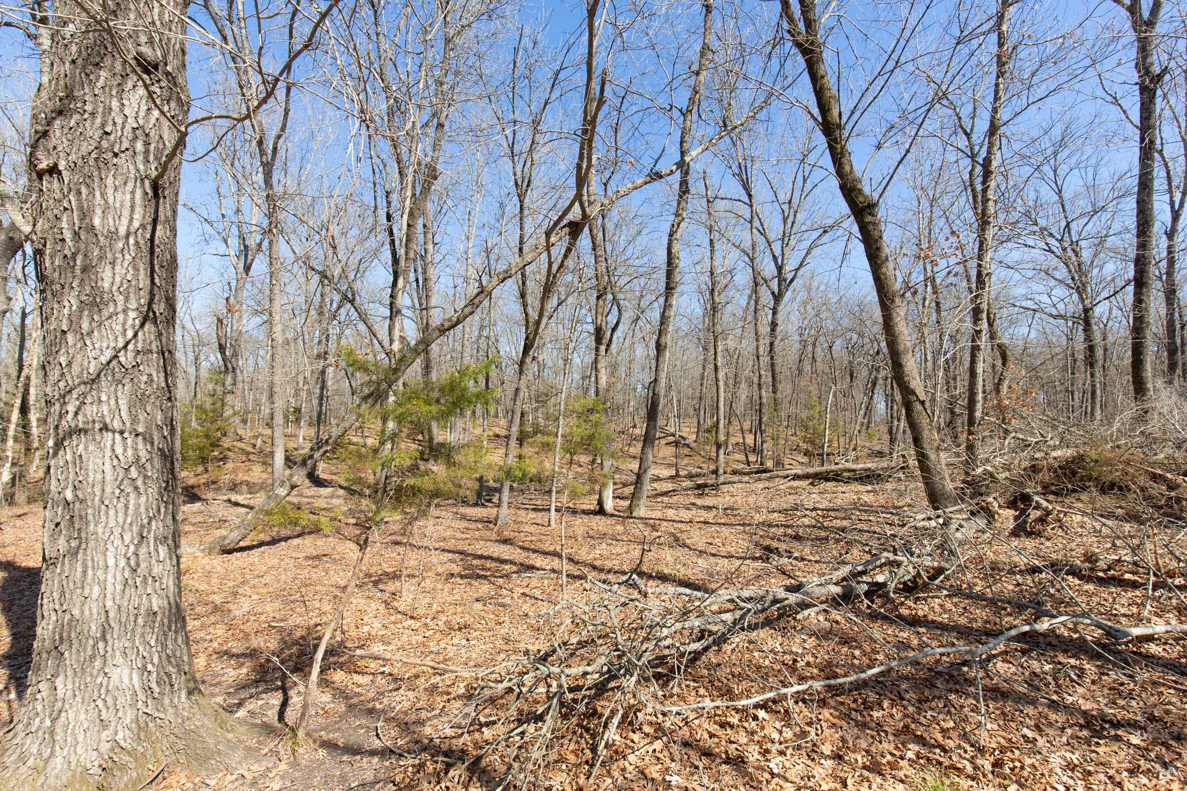 Wishing Star Ranch Tract 31 photo 8