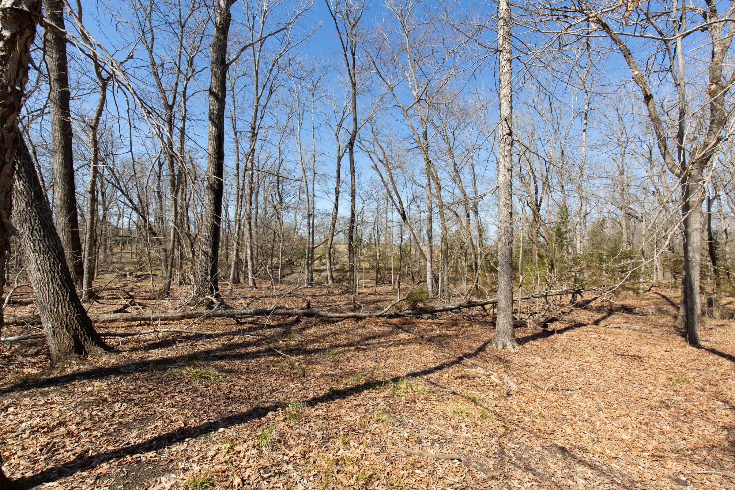 Wishing Star Ranch Tract 31 photo 10