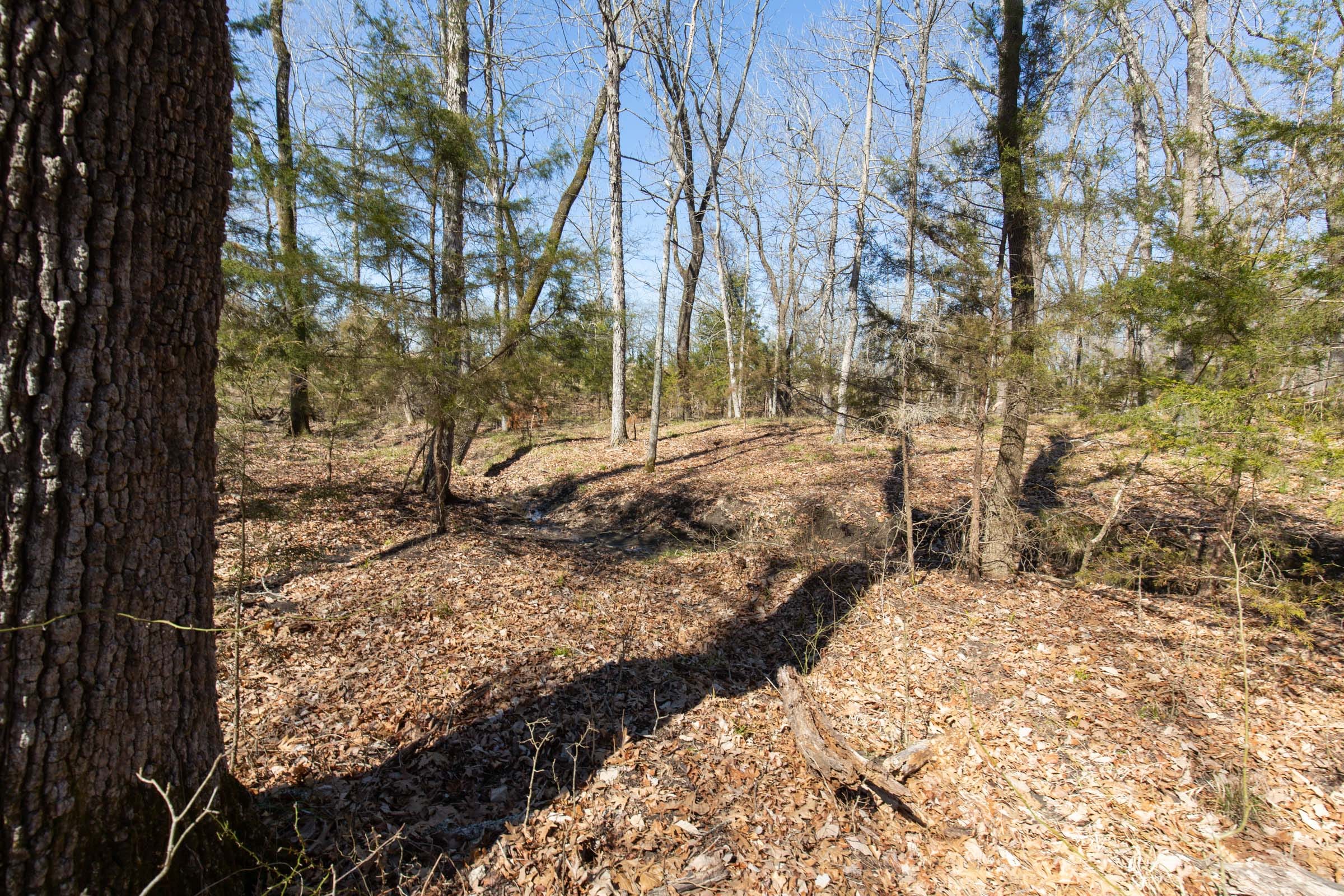 Wishing Star Ranch Tract 31 photo 12