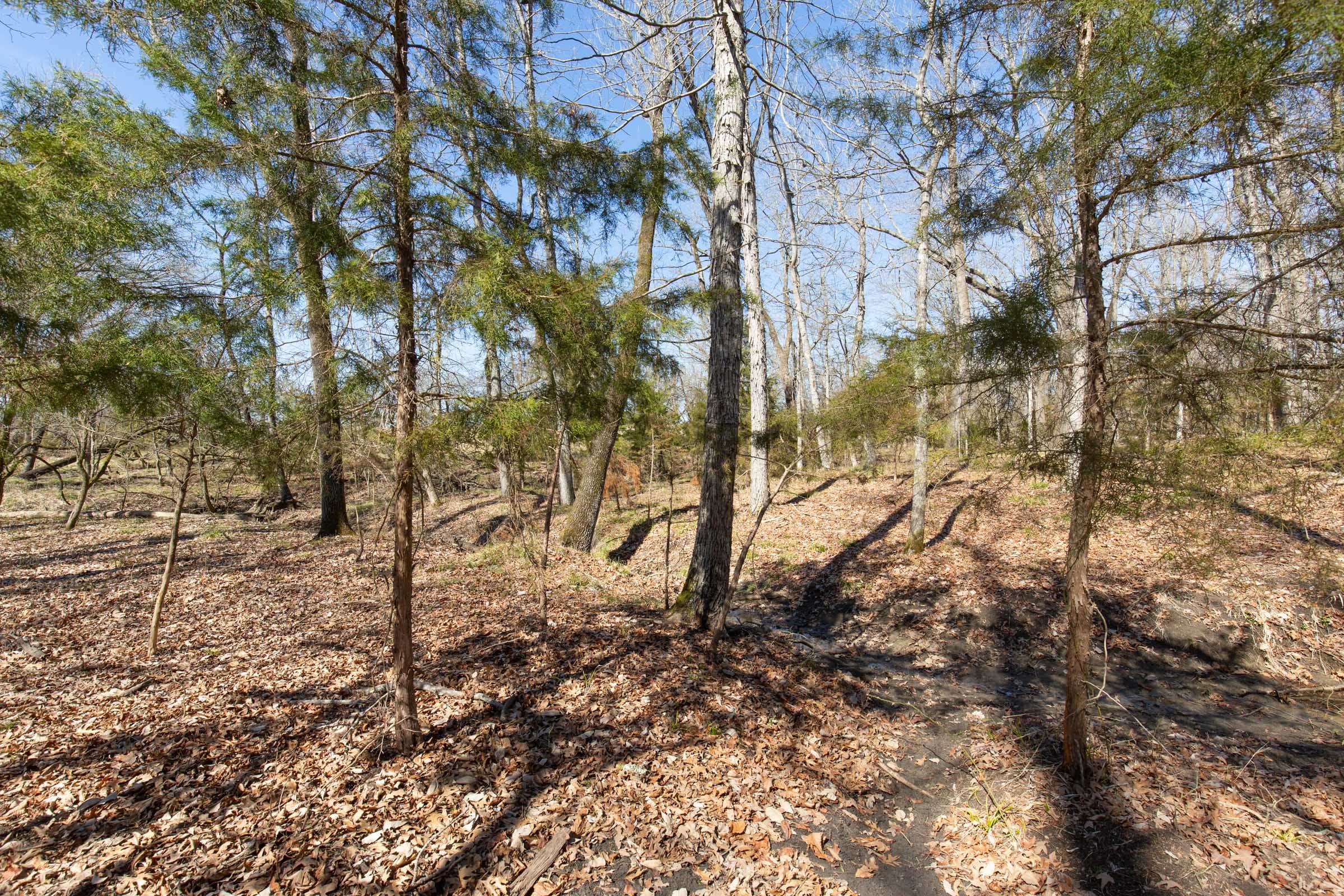 Wishing Star Ranch Tract 31 photo 13