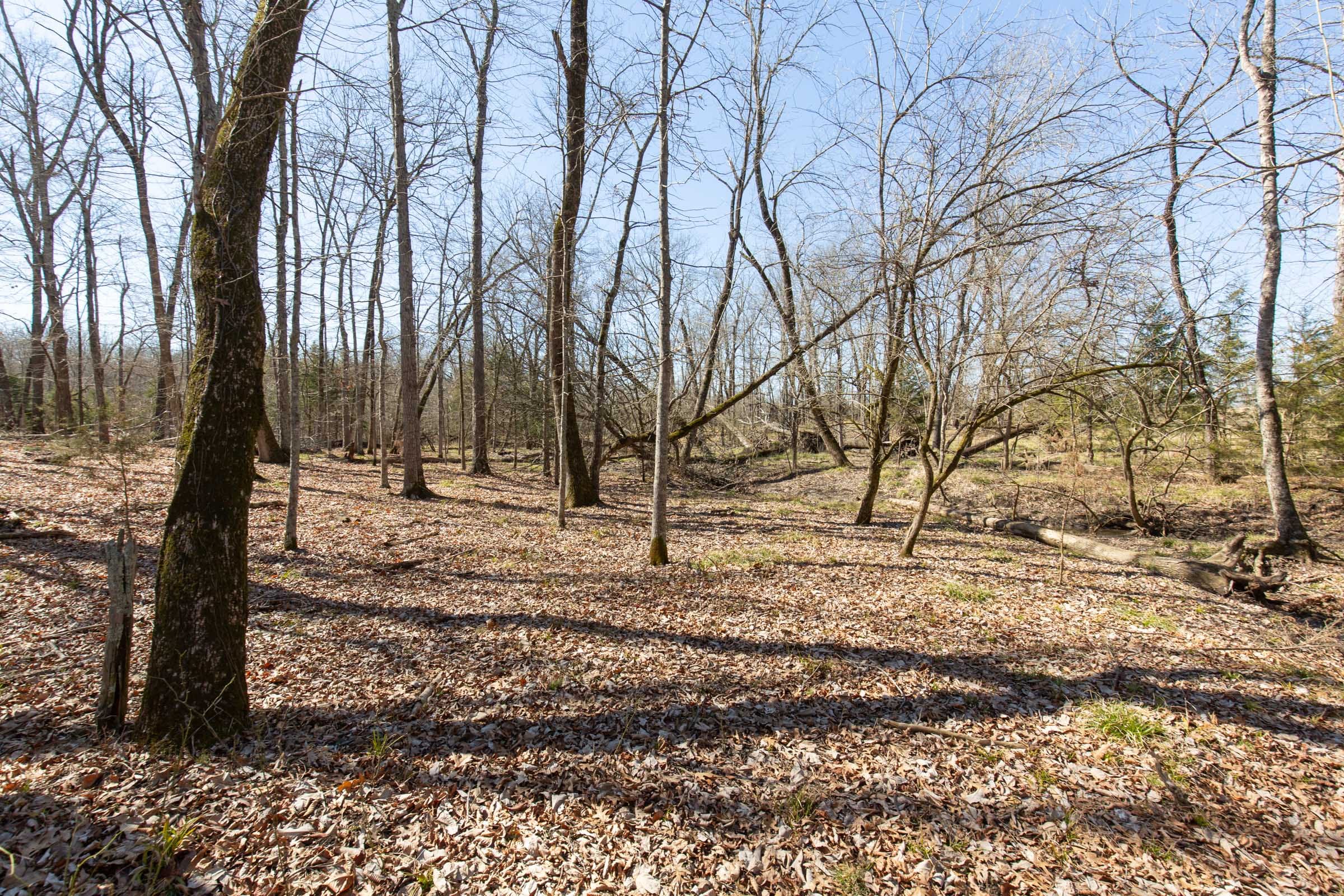 Wishing Star Ranch Tract 31 photo 17