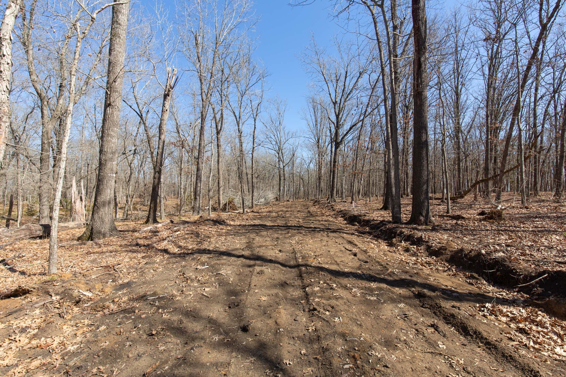 Wishing Star Ranch Tract 31 photo 9