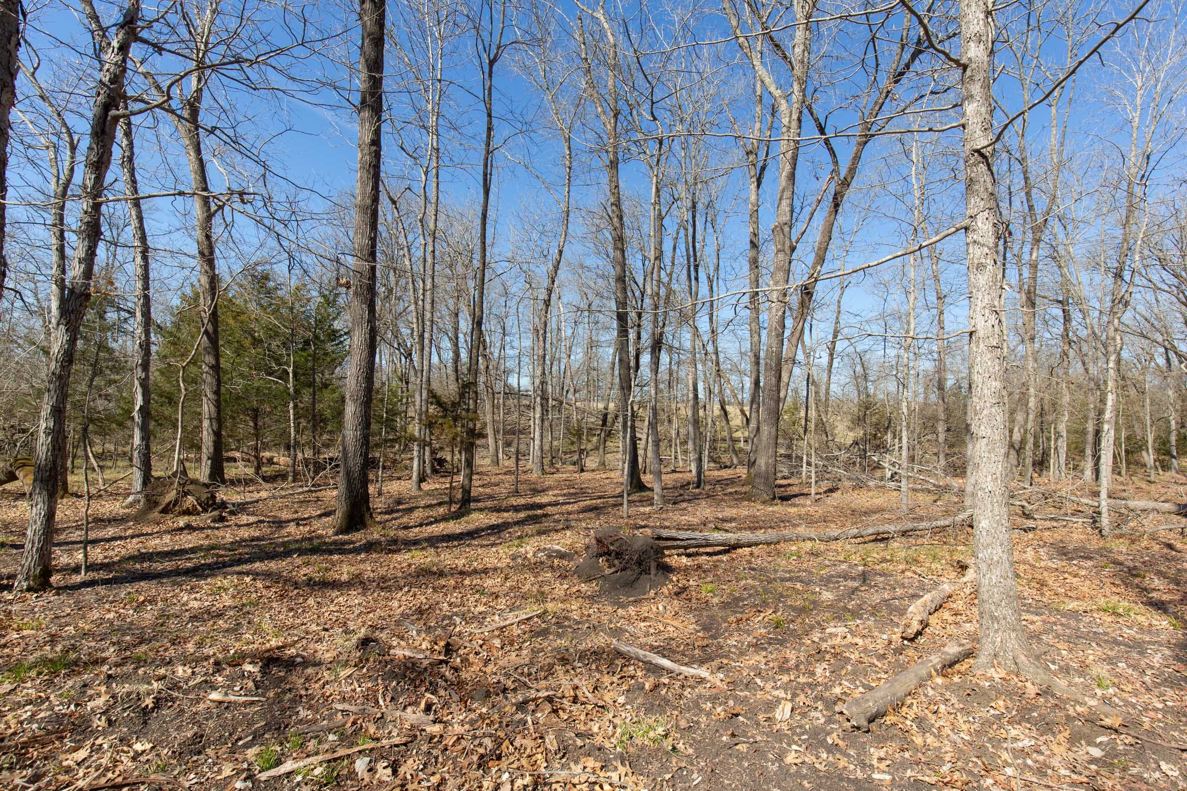 Wishing Star Ranch Tract 31 photo 18