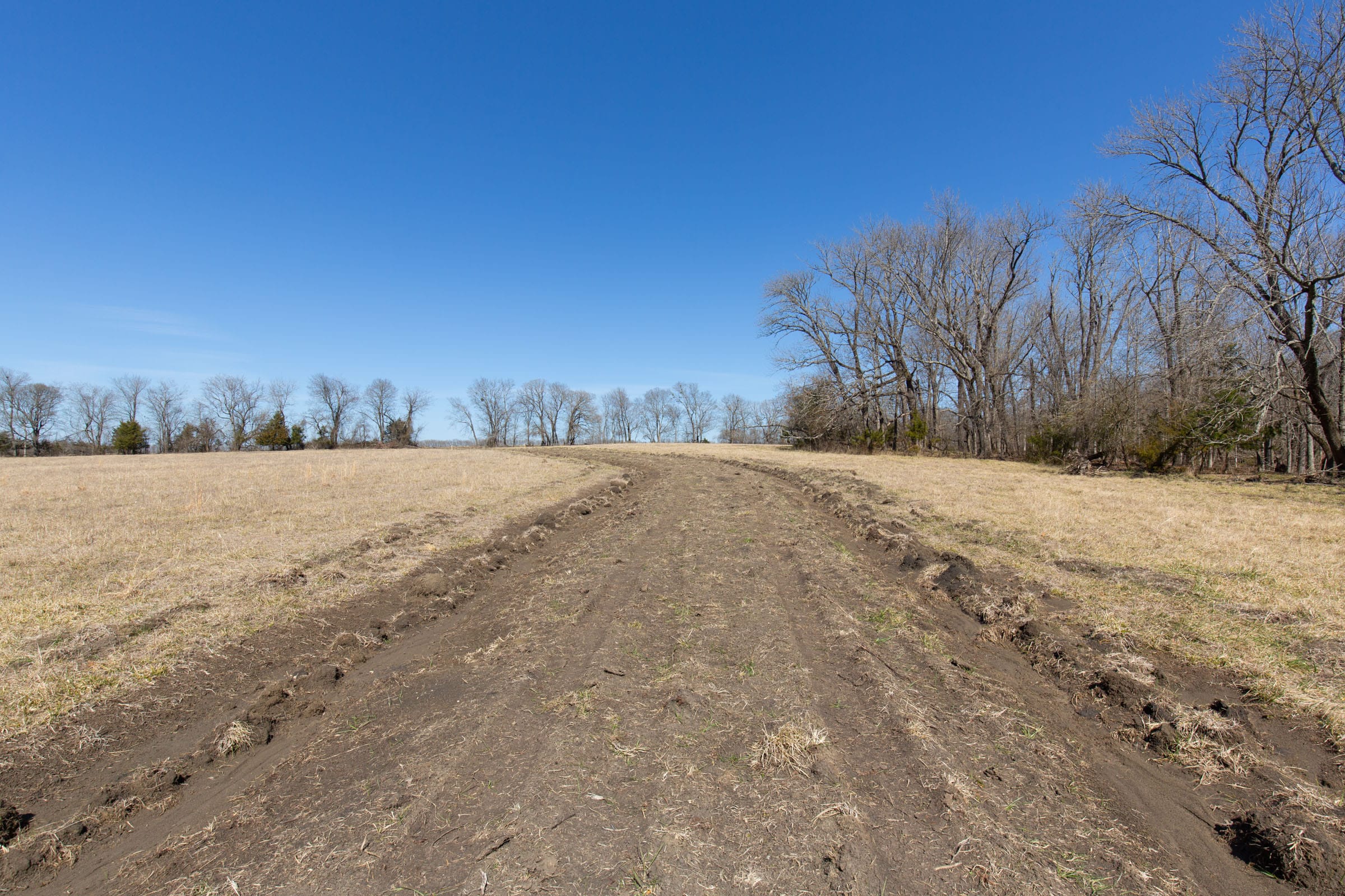 Wishing Star Ranch Tract 31 photo 1