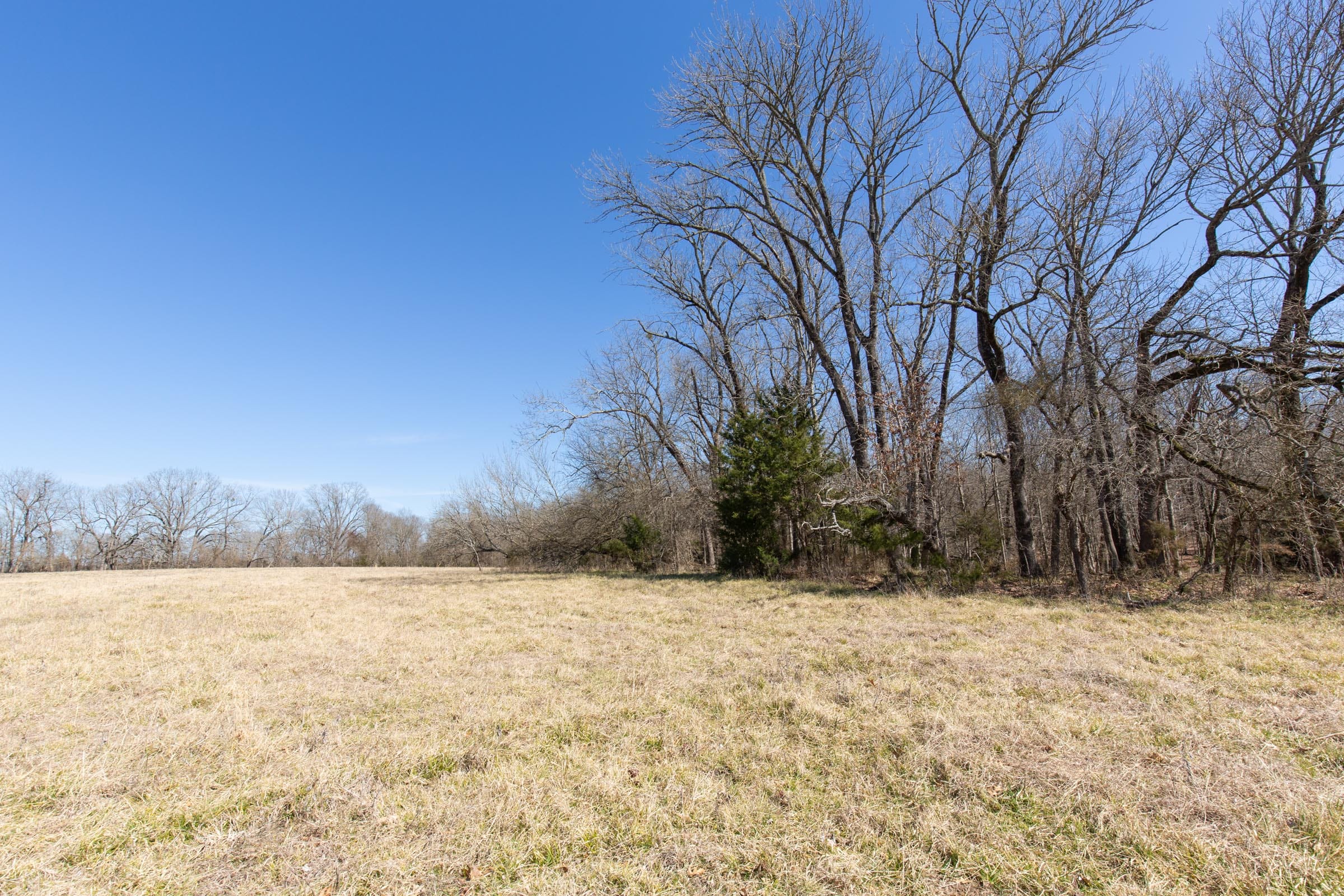 Wishing Star Ranch Tract 31 photo 19