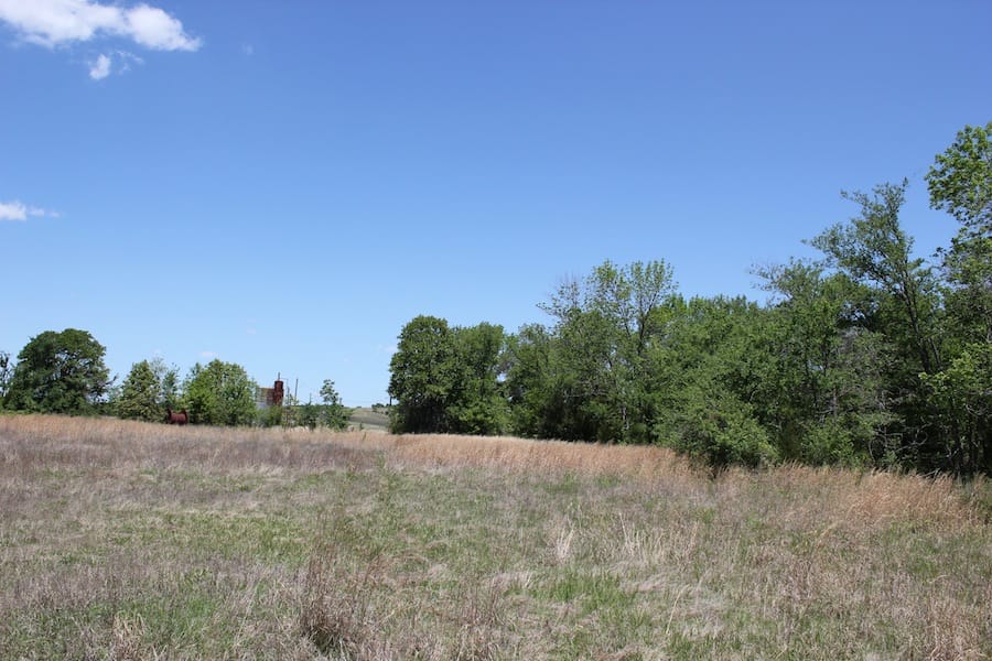 Saddlebrook Ranch Tract 41 photo 2
