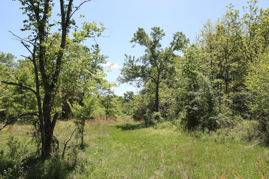 Saddlebrook Ranch Tract 41 photo 4
