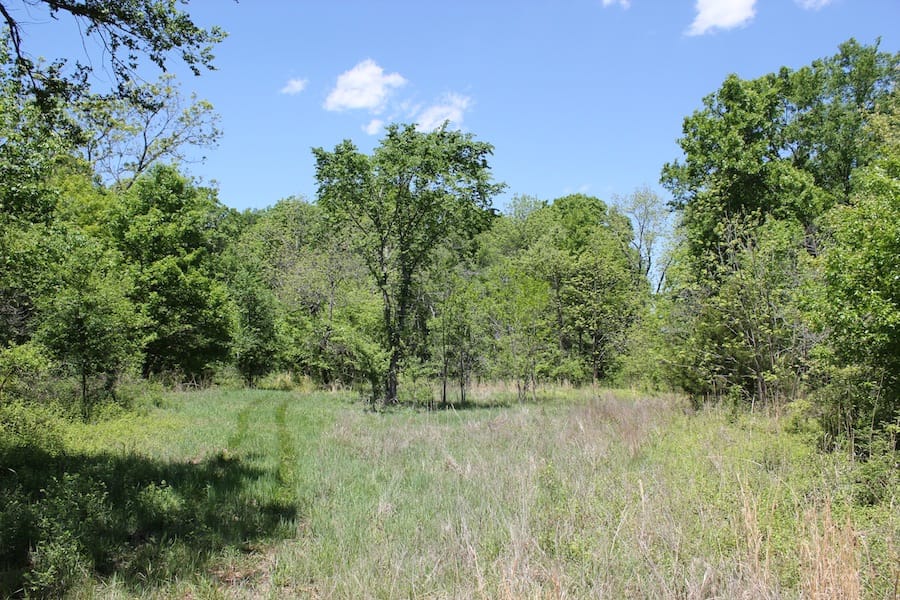 Saddlebrook Ranch Tract 41 photo 6