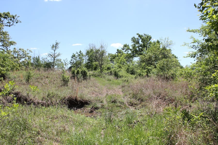 Saddlebrook Ranch Tract 41 photo 7