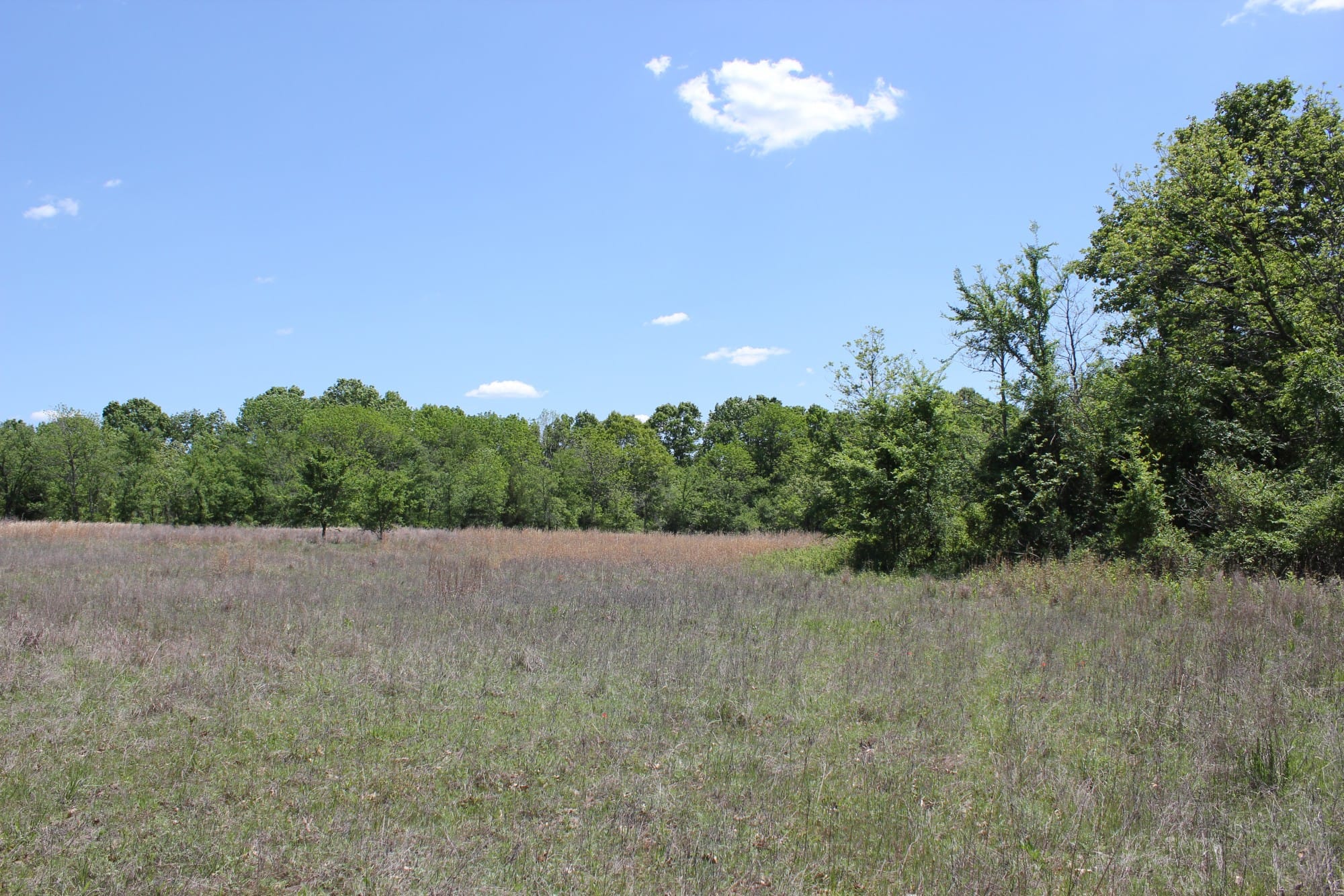 Saddlebrook Ranch Tract 41 photo 9