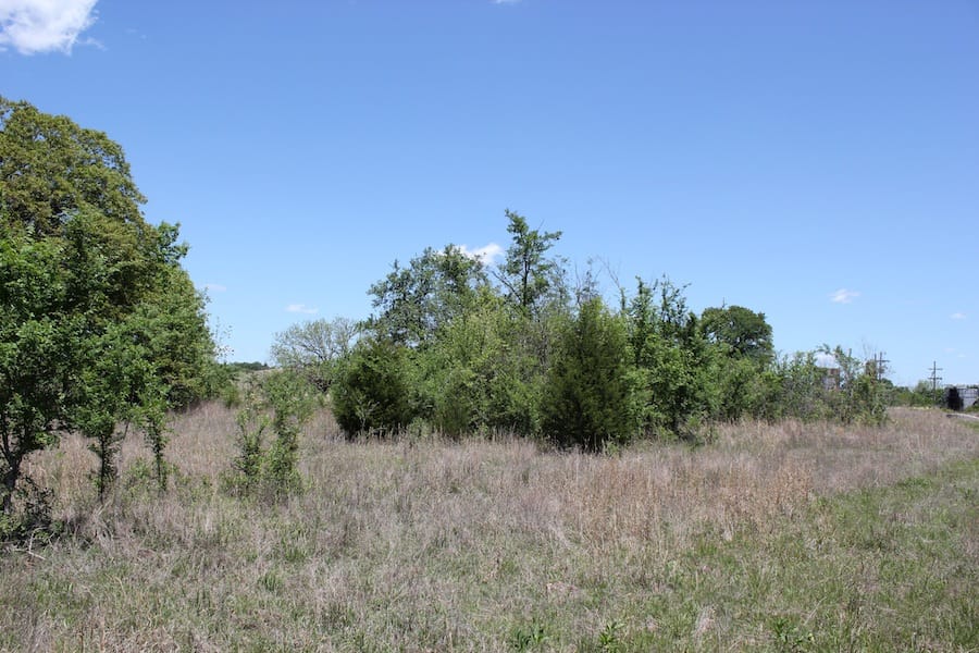 Saddlebrook Ranch Tract 41 photo 10