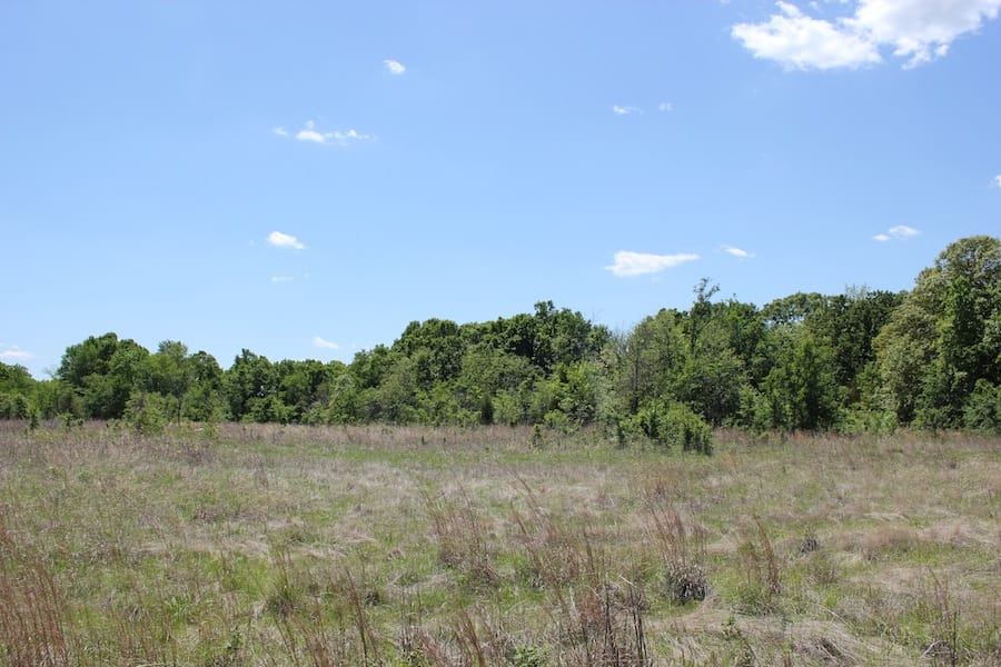 Saddlebrook Ranch Tract 41 photo 11