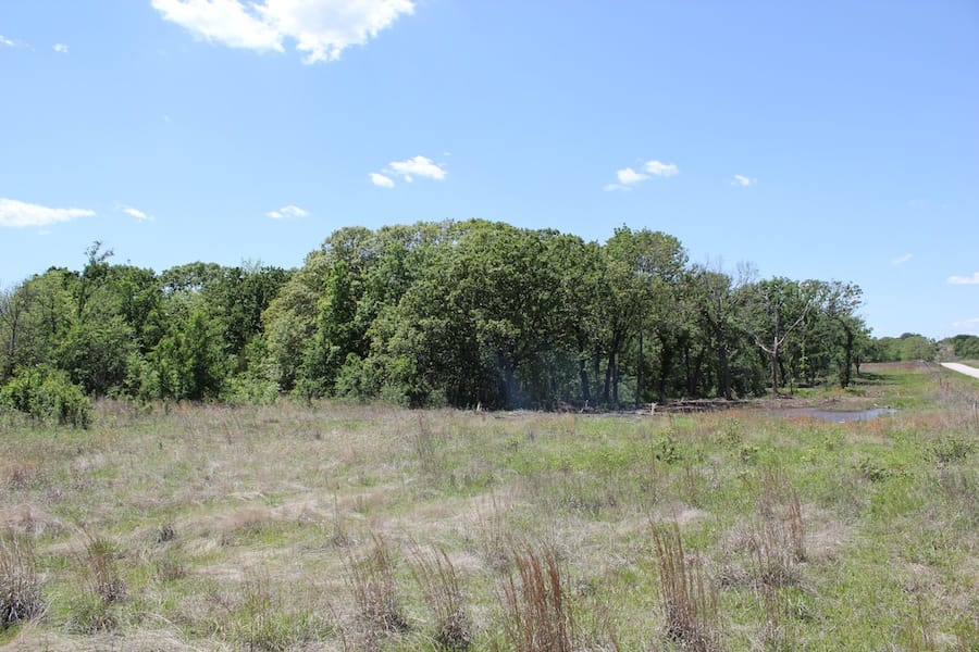 Saddlebrook Ranch Tract 41 photo 12