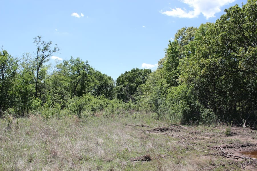 Saddlebrook Ranch Tract 41 photo 13