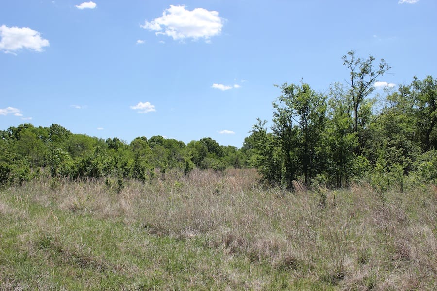 Saddlebrook Ranch Tract 41 photo 14