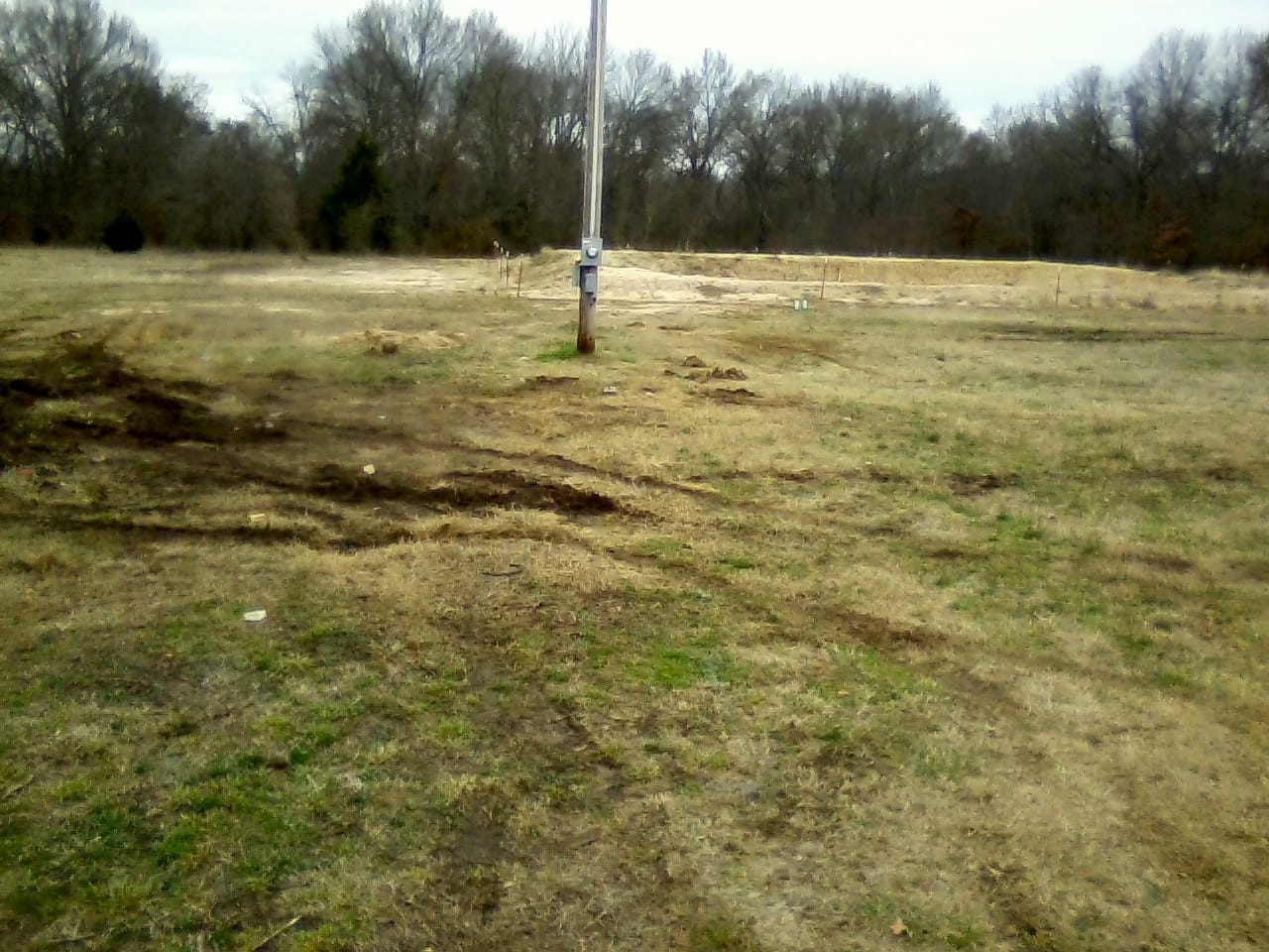 Saddlebrook Ranch Tract 41 photo 15