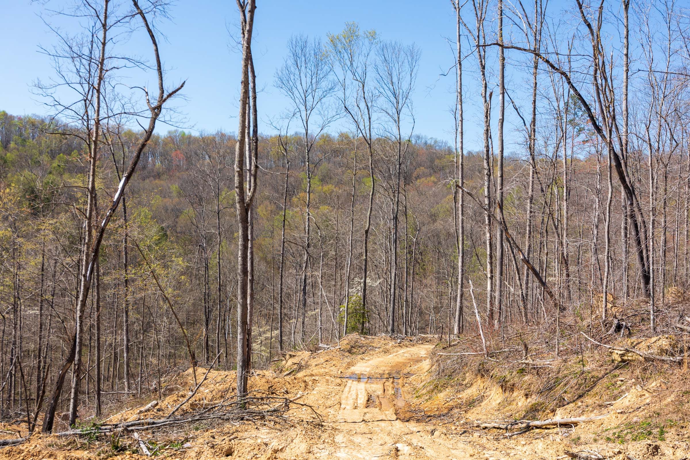Creek Hollow Phase I Tract 54 photo 2