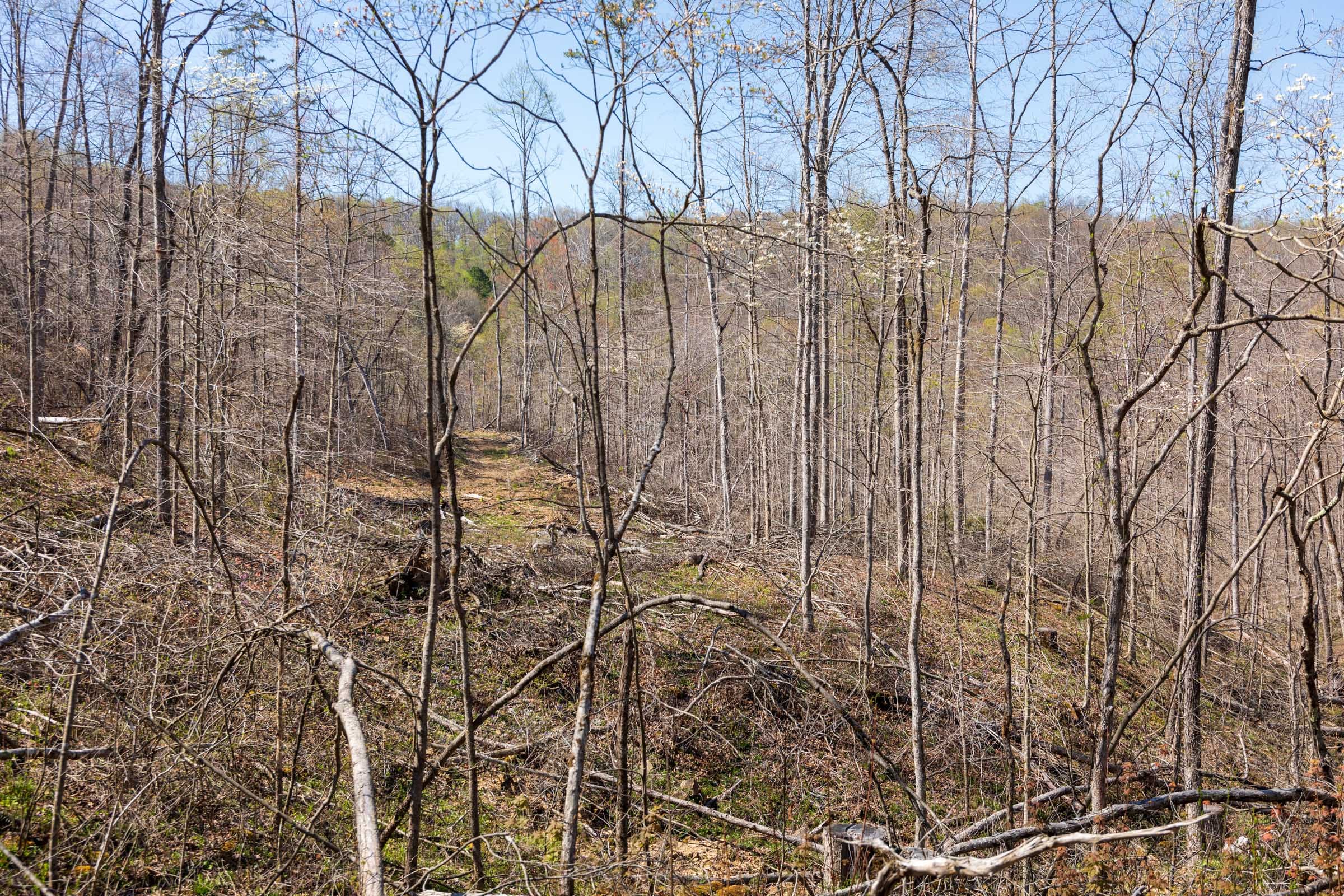 Creek Hollow Phase I Tract 54 photo 3