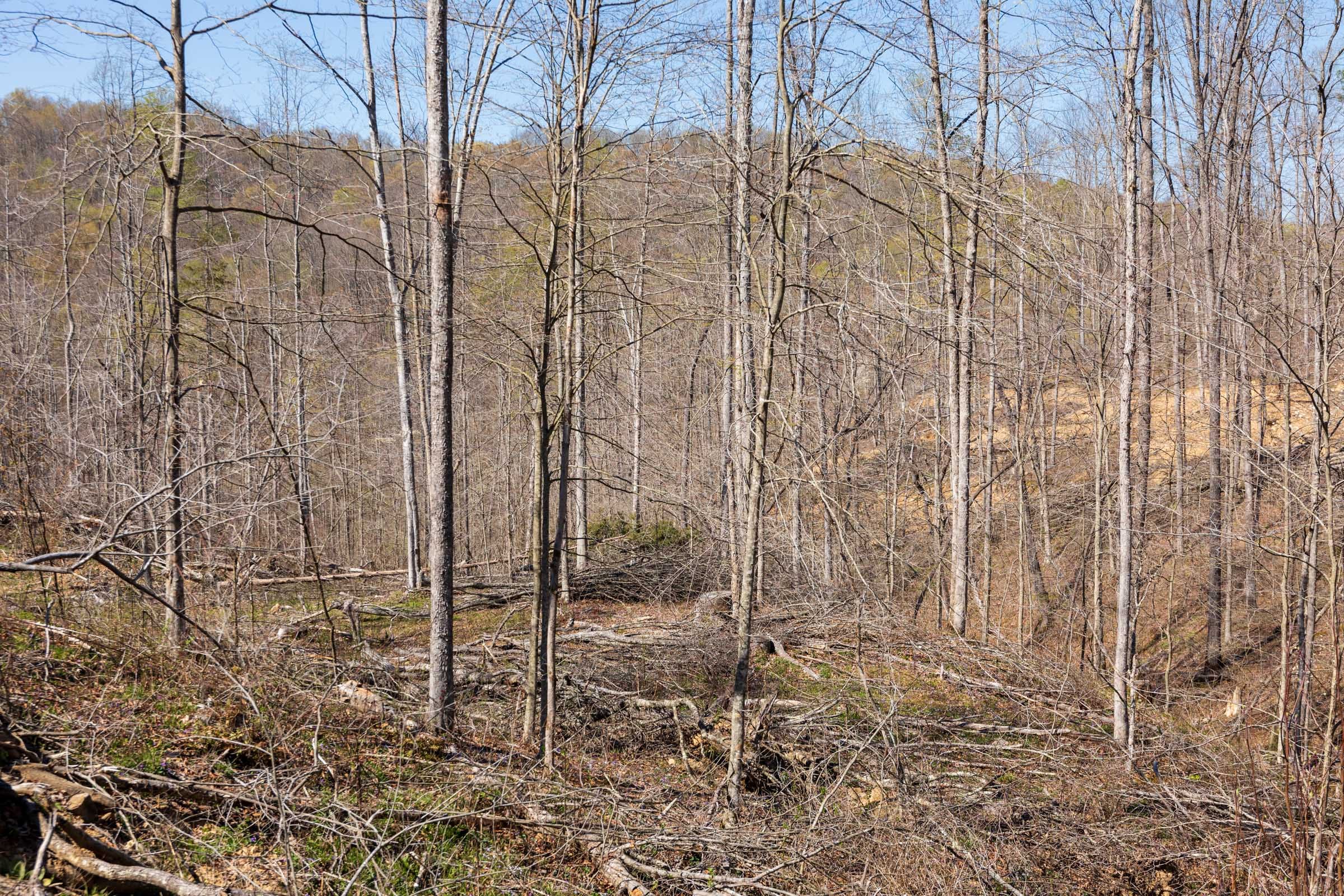 Creek Hollow Phase I Tract 54 photo 4