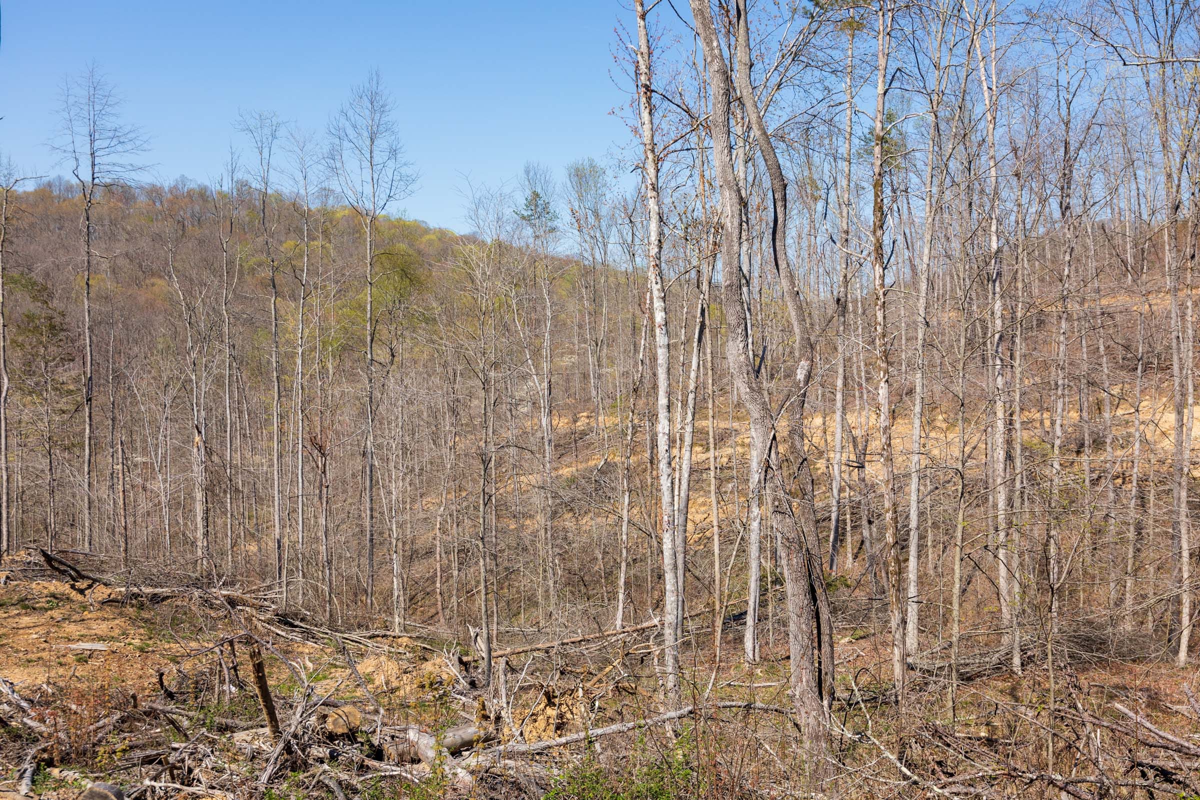 Creek Hollow Phase I Tract 54 photo 6