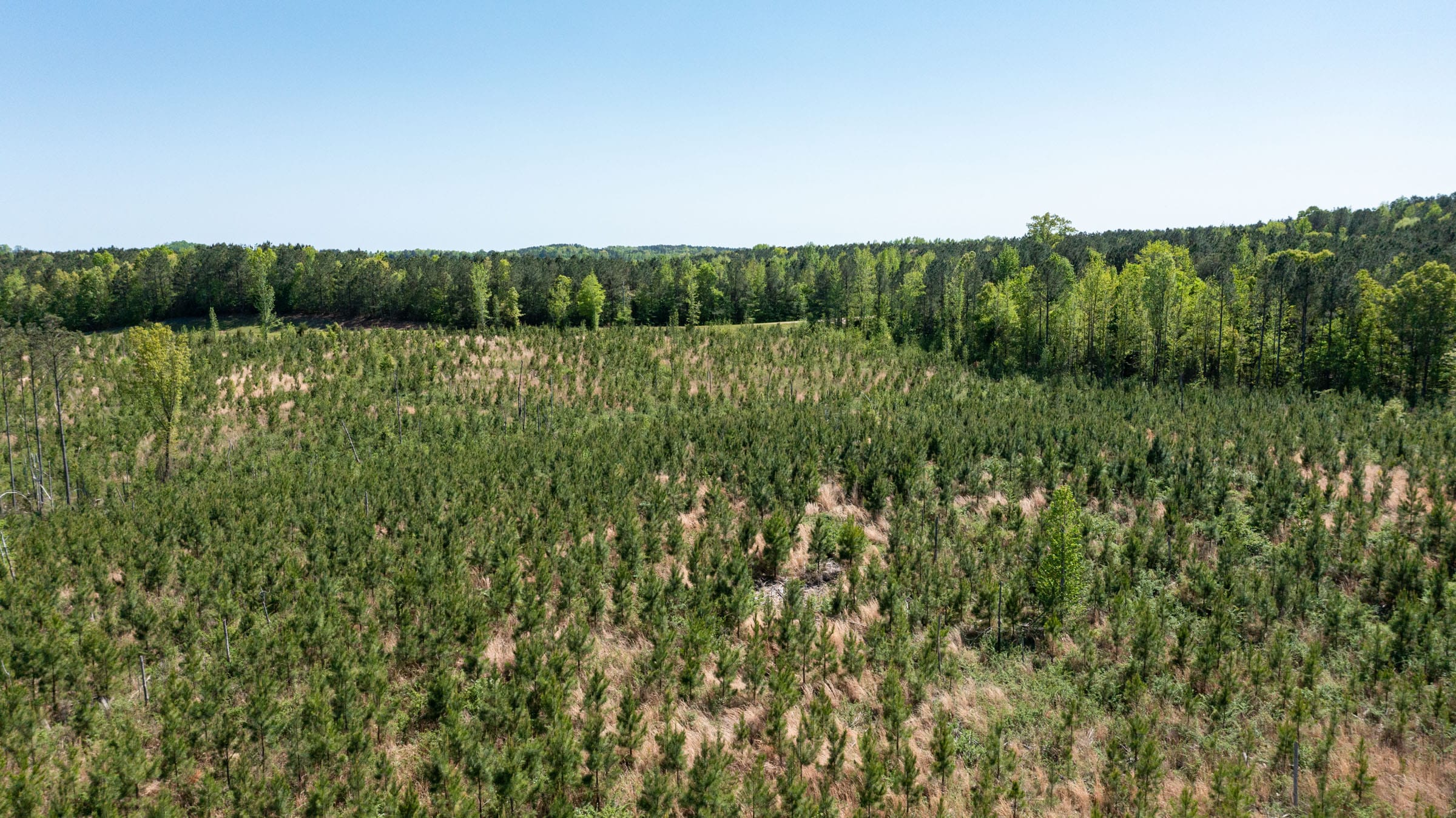 Clear Wood Tract 6 photo 3