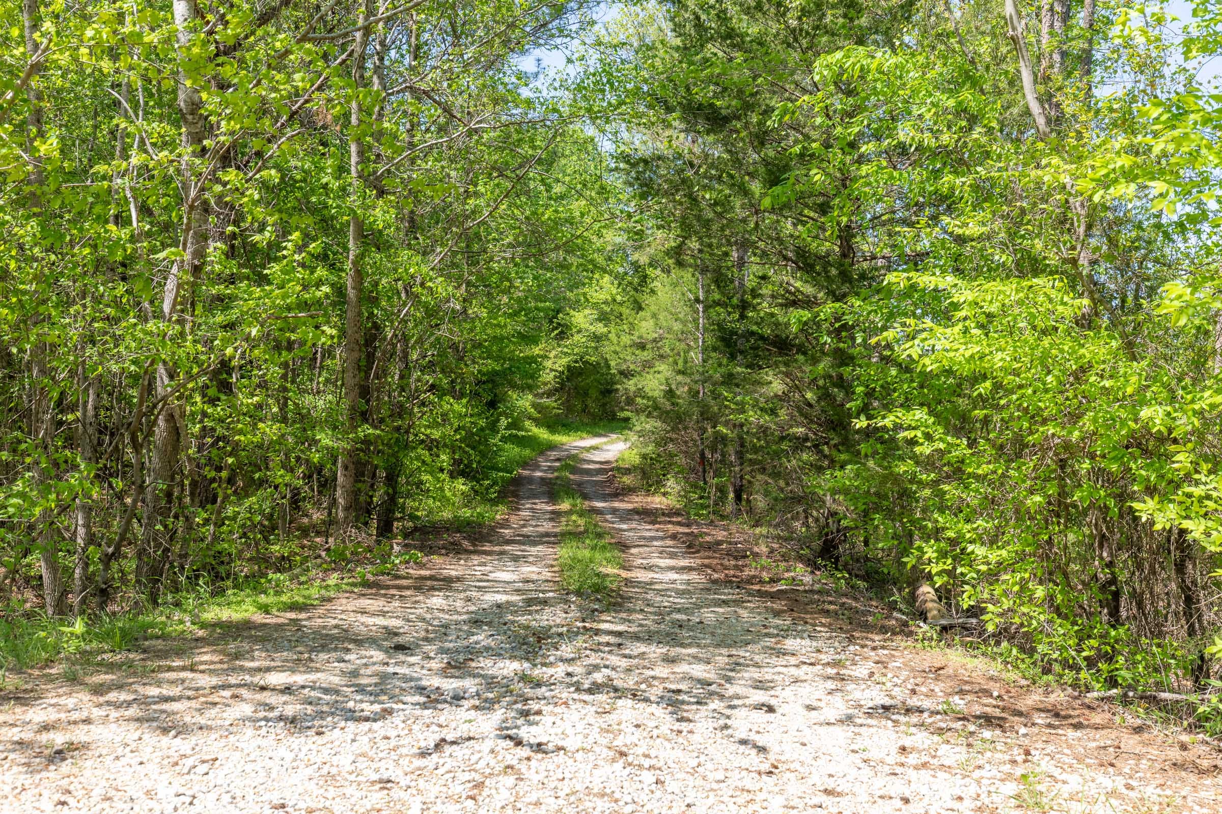 Clear Wood Tract 6 photo 6