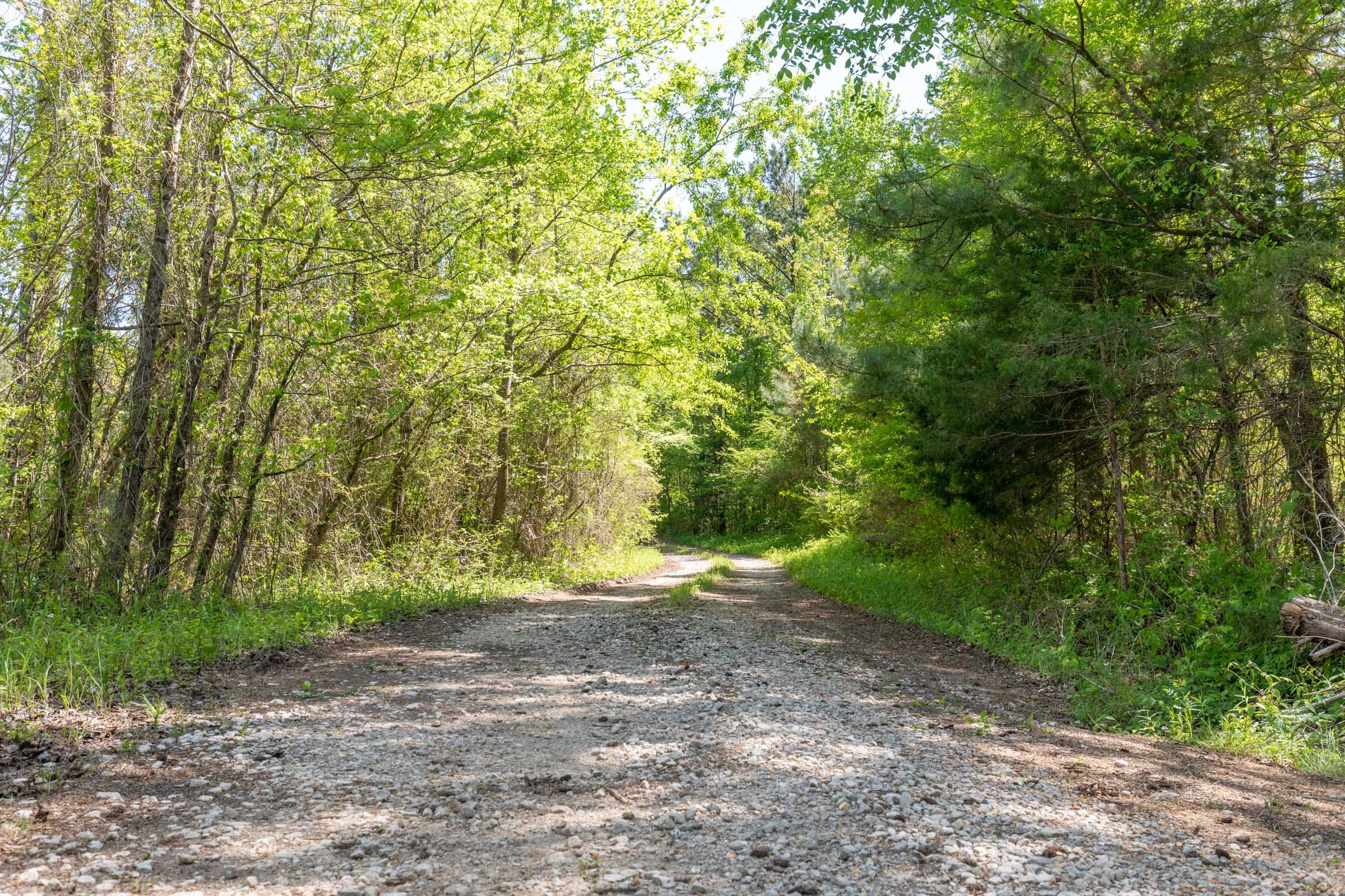 Clear Wood Tract 6 photo 8