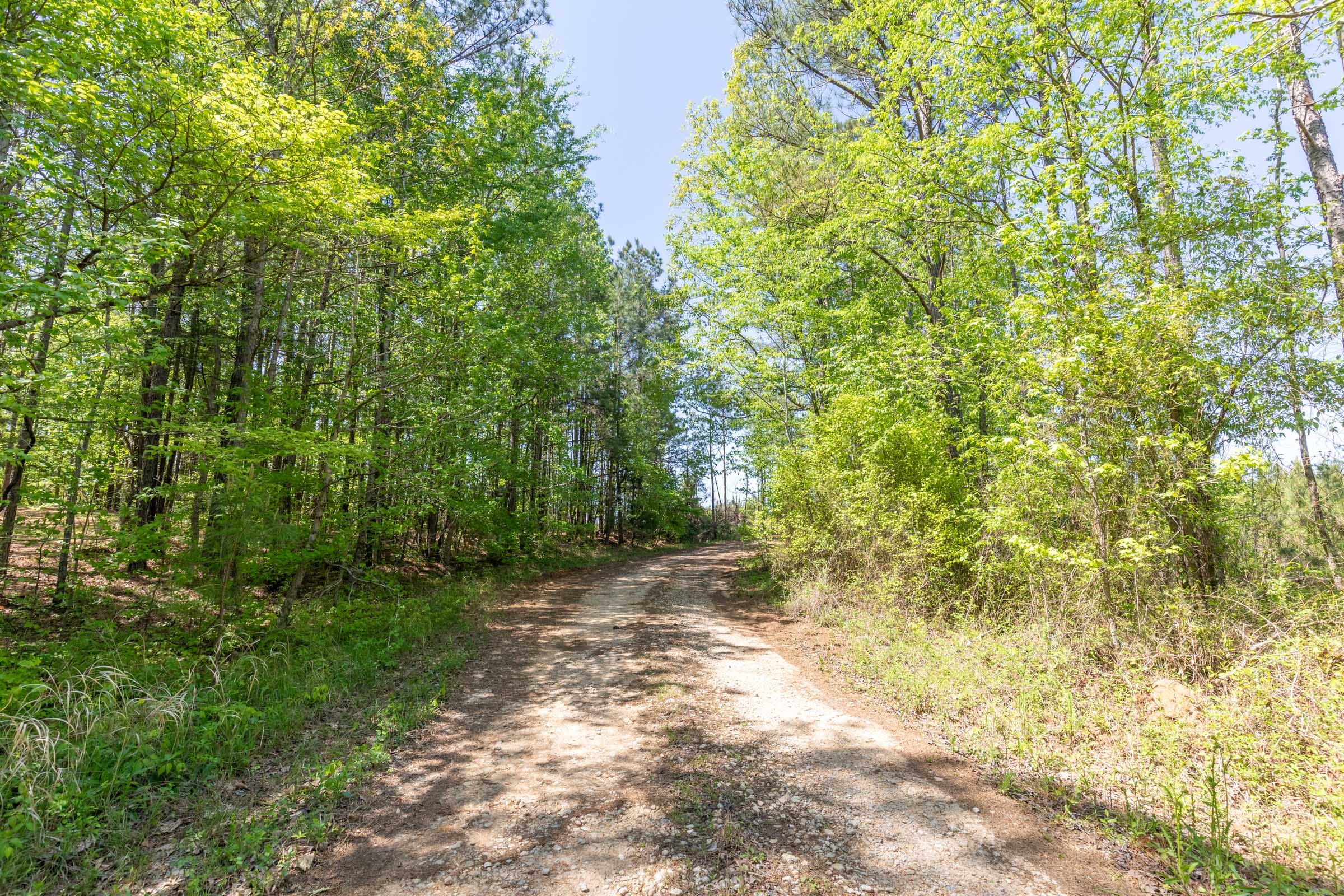 Clear Wood Tract 6 photo 9