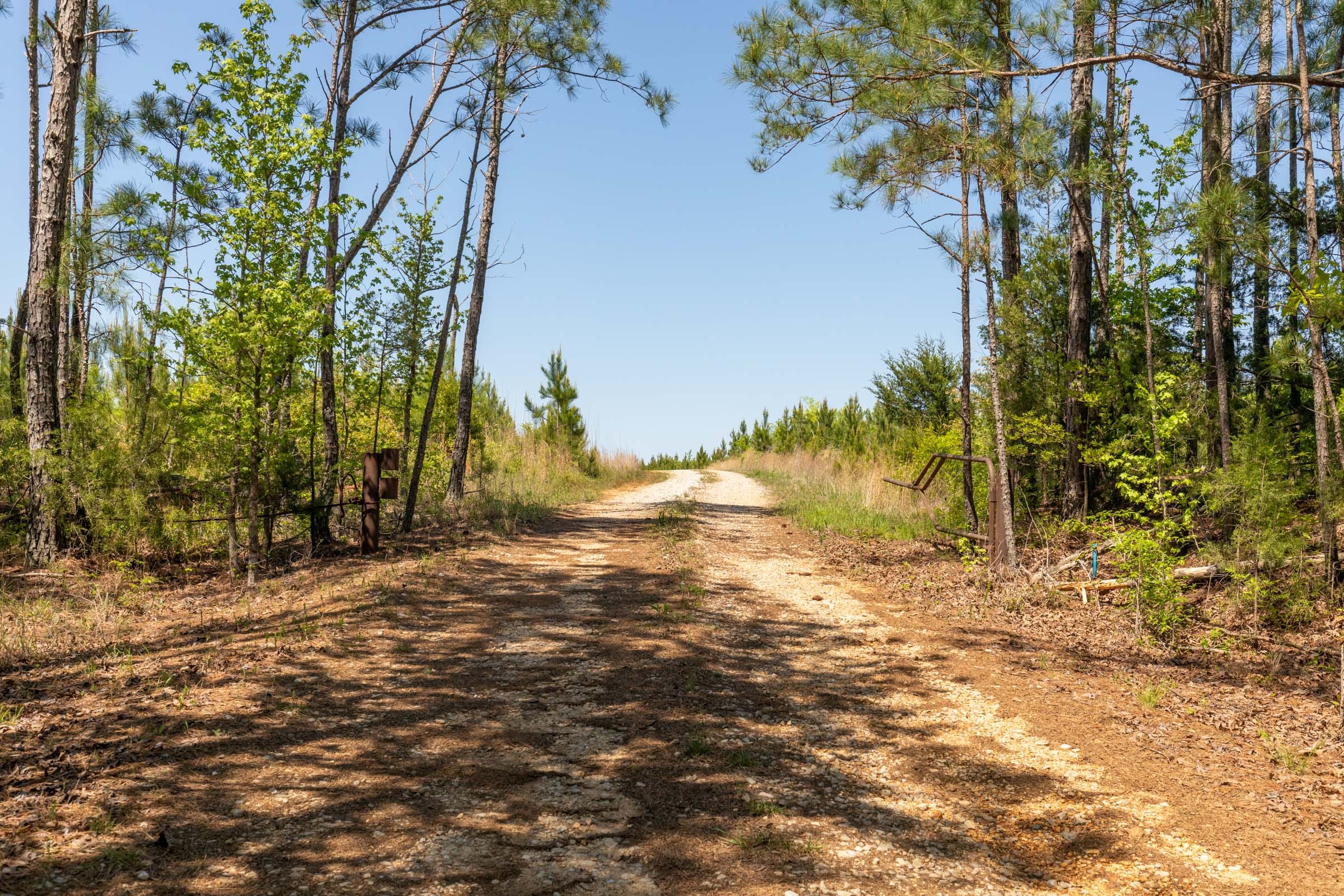 Clear Wood Tract 6 photo 11