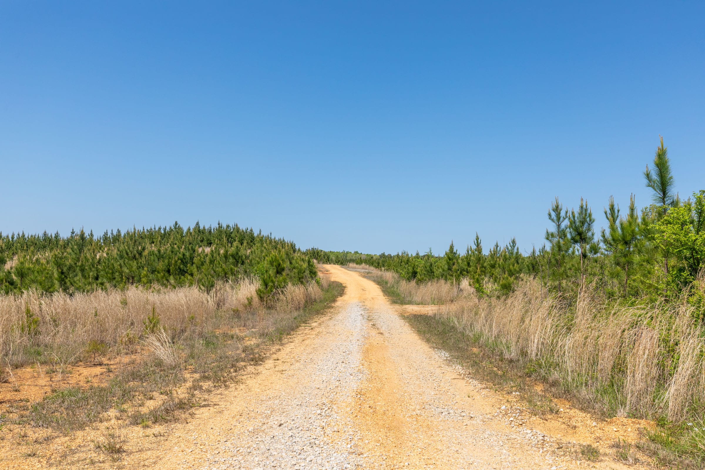 Clear Wood Tract 6 photo 14