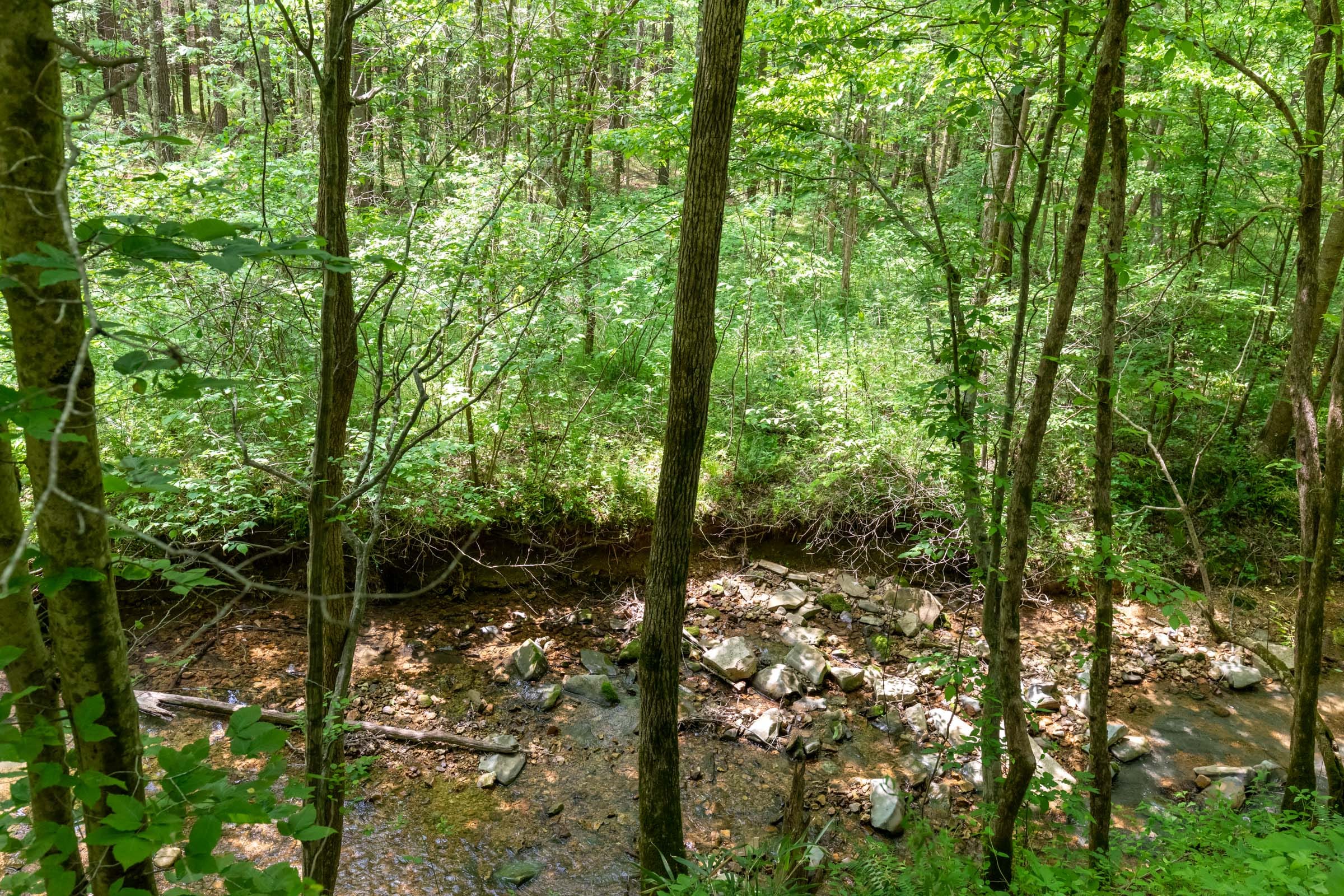 Cedar Creek Tract 37 photo 3