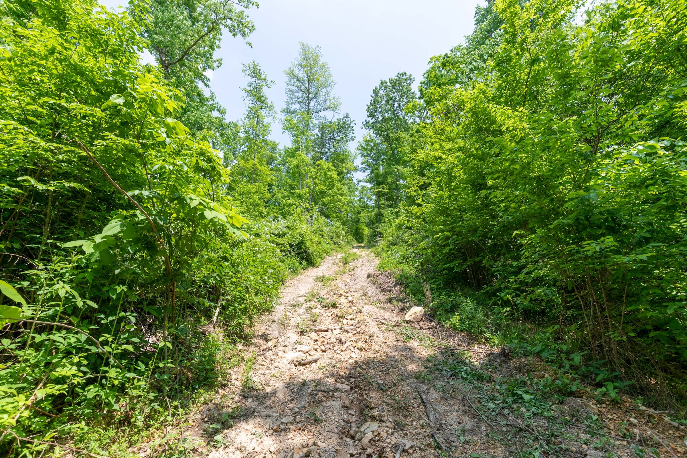 Cedar Creek Tract 37 photo 6