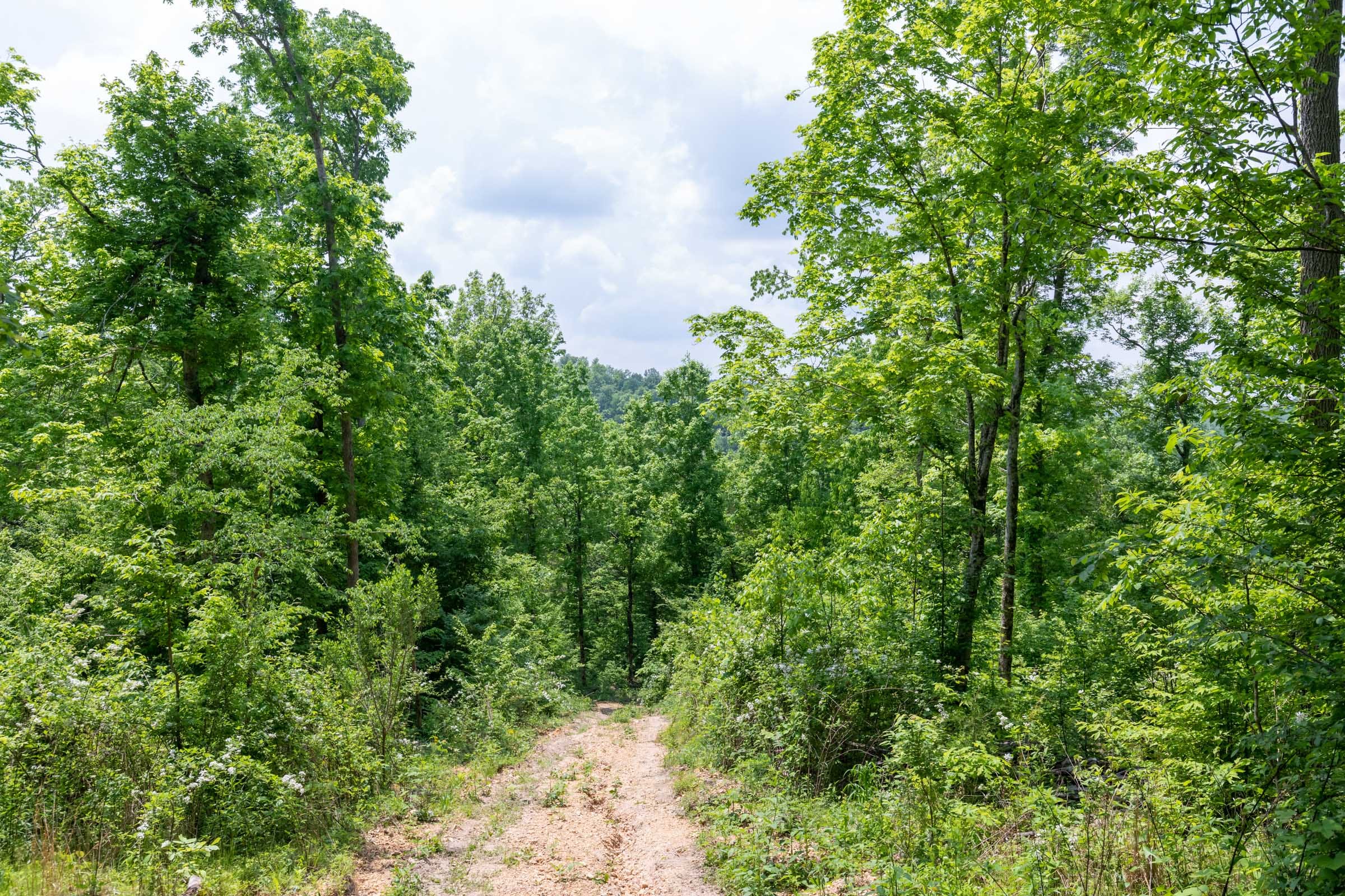 Cedar Creek Tract 37 photo 15
