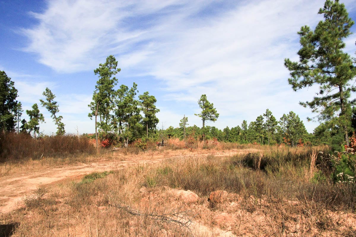 Stone Creek Phase III Tract 46 photo 2