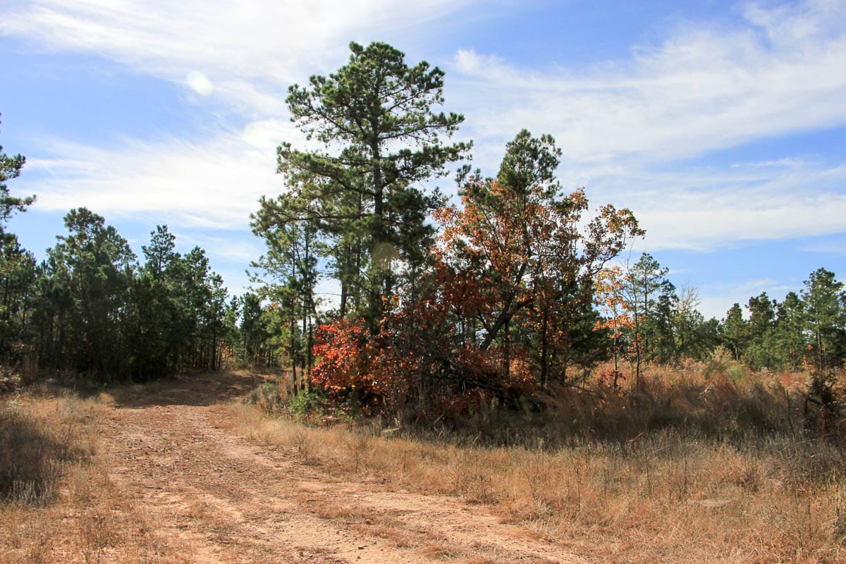 Stone Creek Phase III Tract 46 photo 3