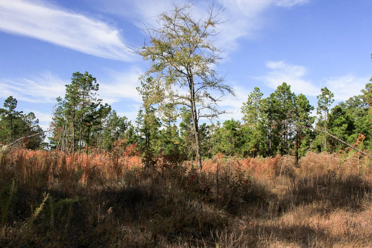 Stone Creek Phase III Tract 46 photo 4