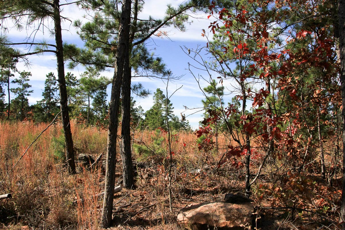 Stone Creek Phase III Tract 46 photo 6
