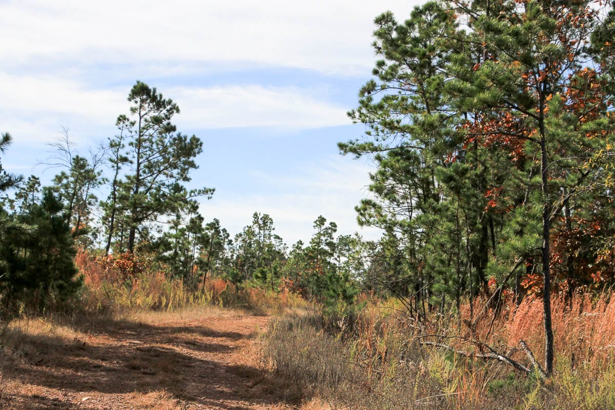 Stone Creek Phase III Tract 46 photo 10