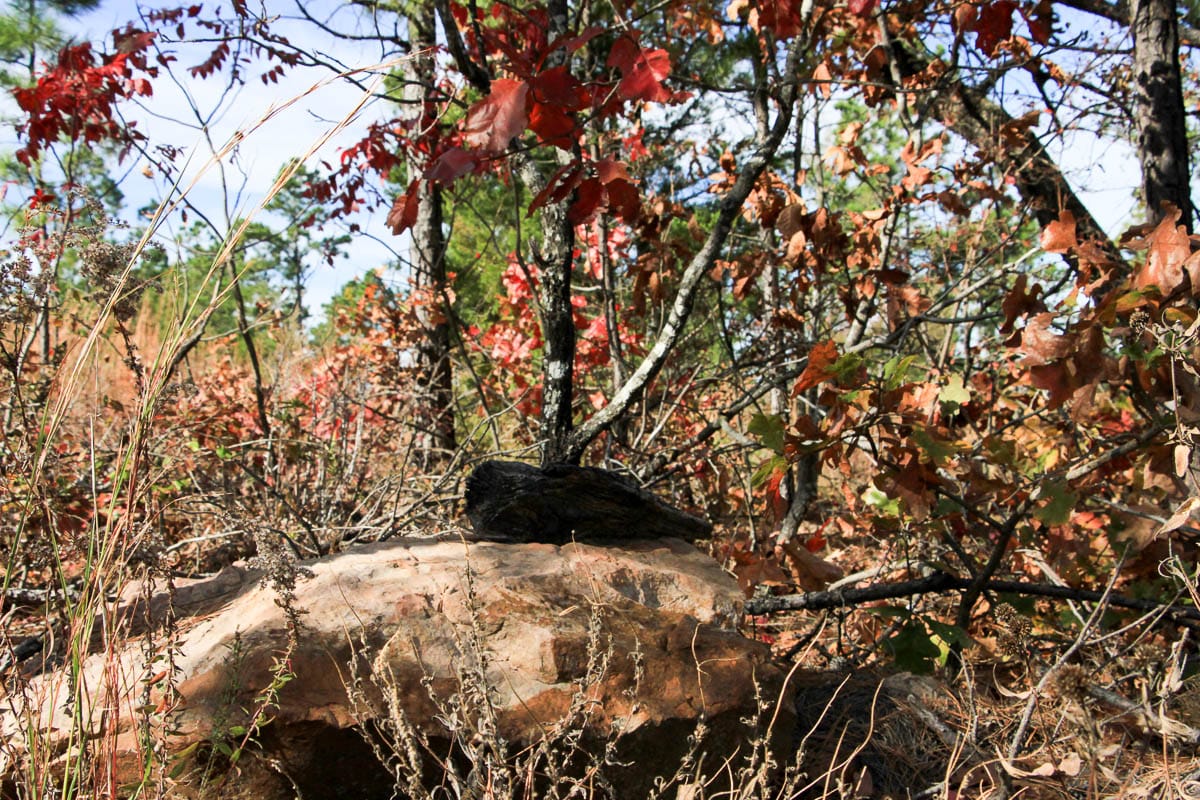 Stone Creek Phase III Tract 46 photo 12