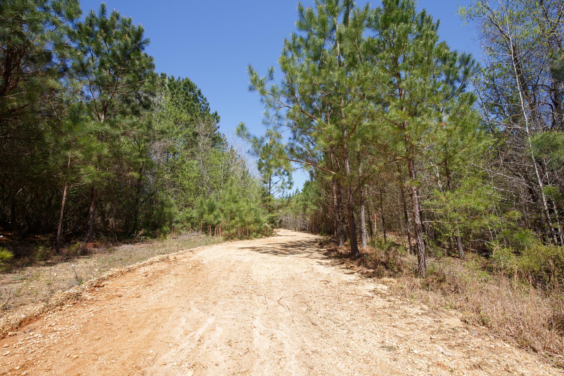 Southern Hills Tract 15 photo 2