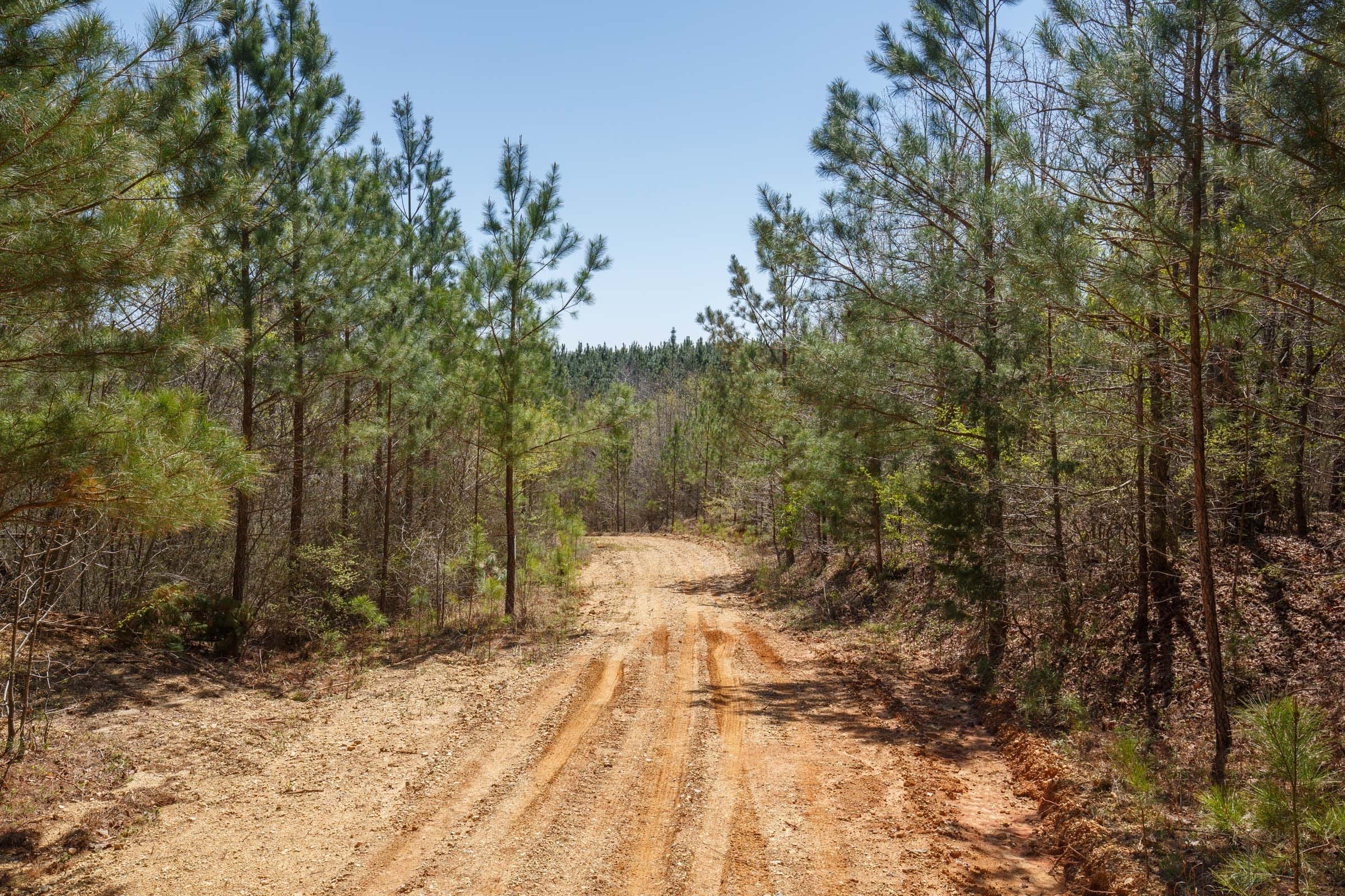 Southern Hills Tract 15 photo 4